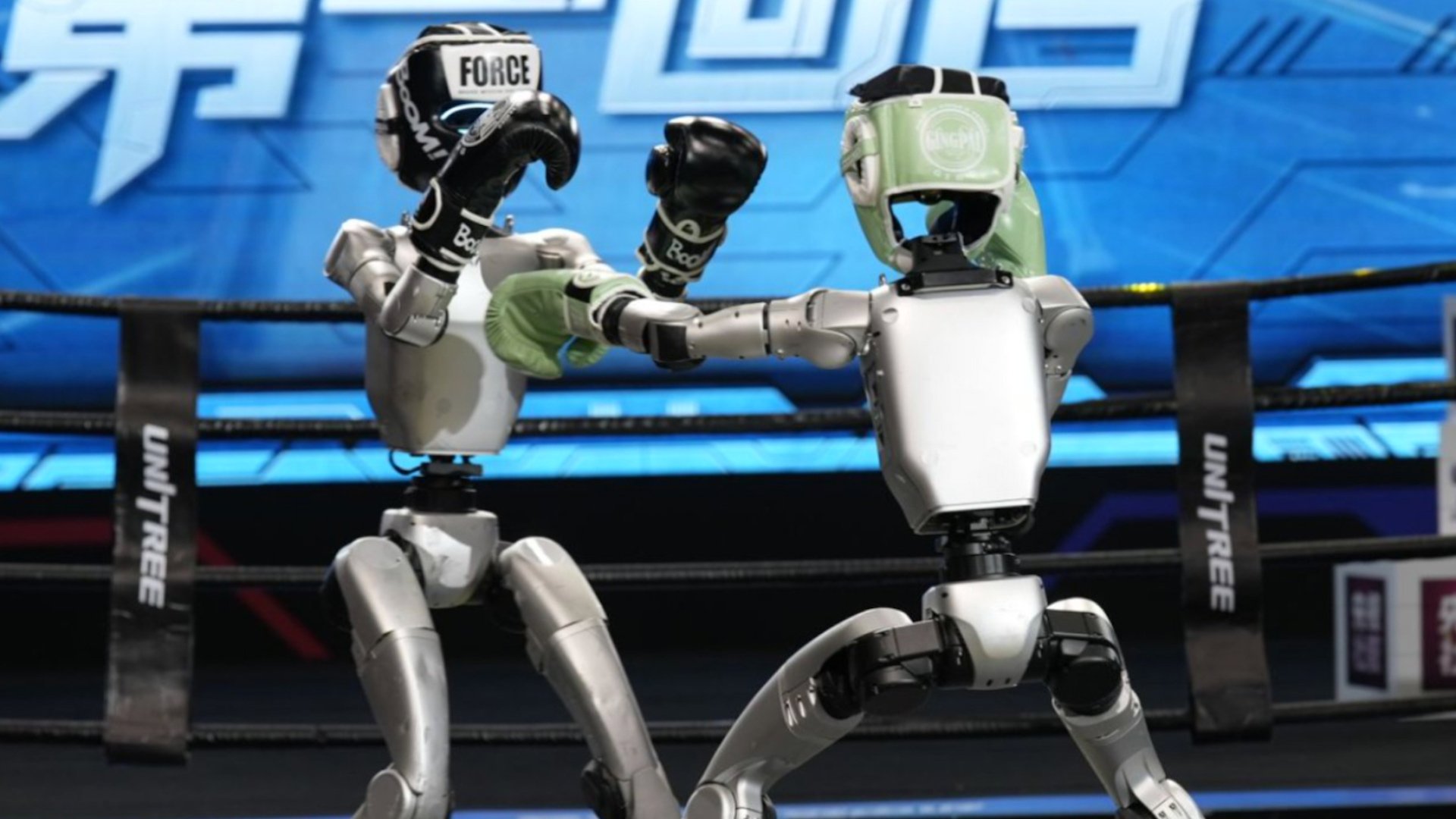 China’s humanoid robots test skills in unique kickboxing competition