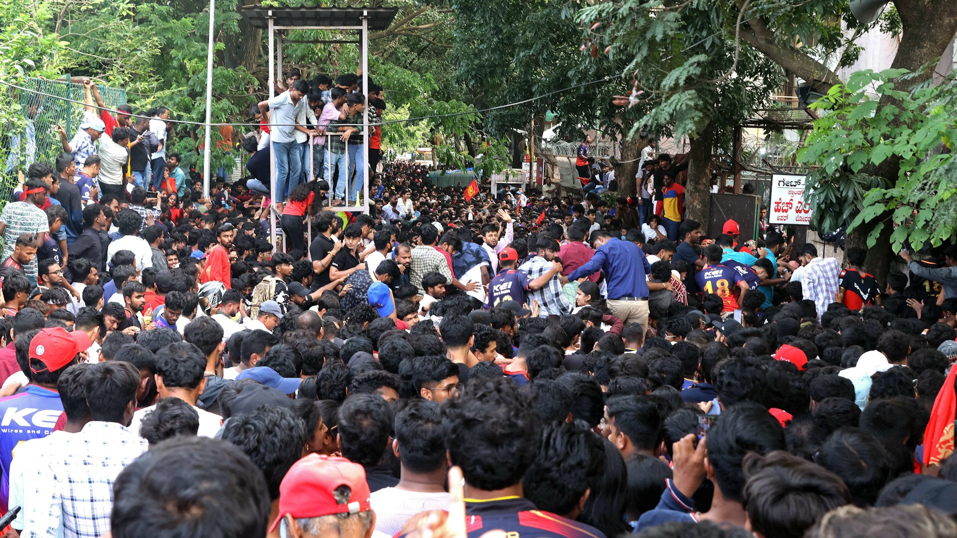 At least 11 killed in India after stampede at cricket victory celebrations