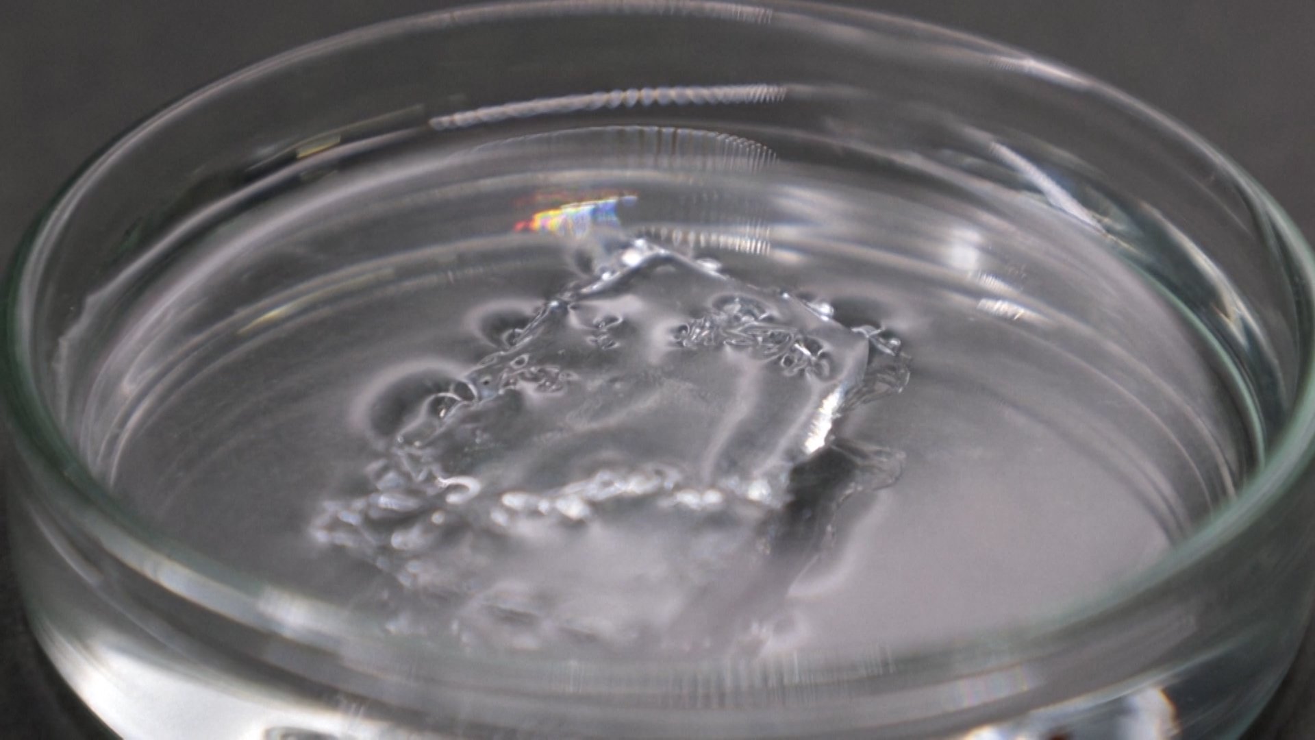 Japan’s researchers develop ocean-friendly plastic