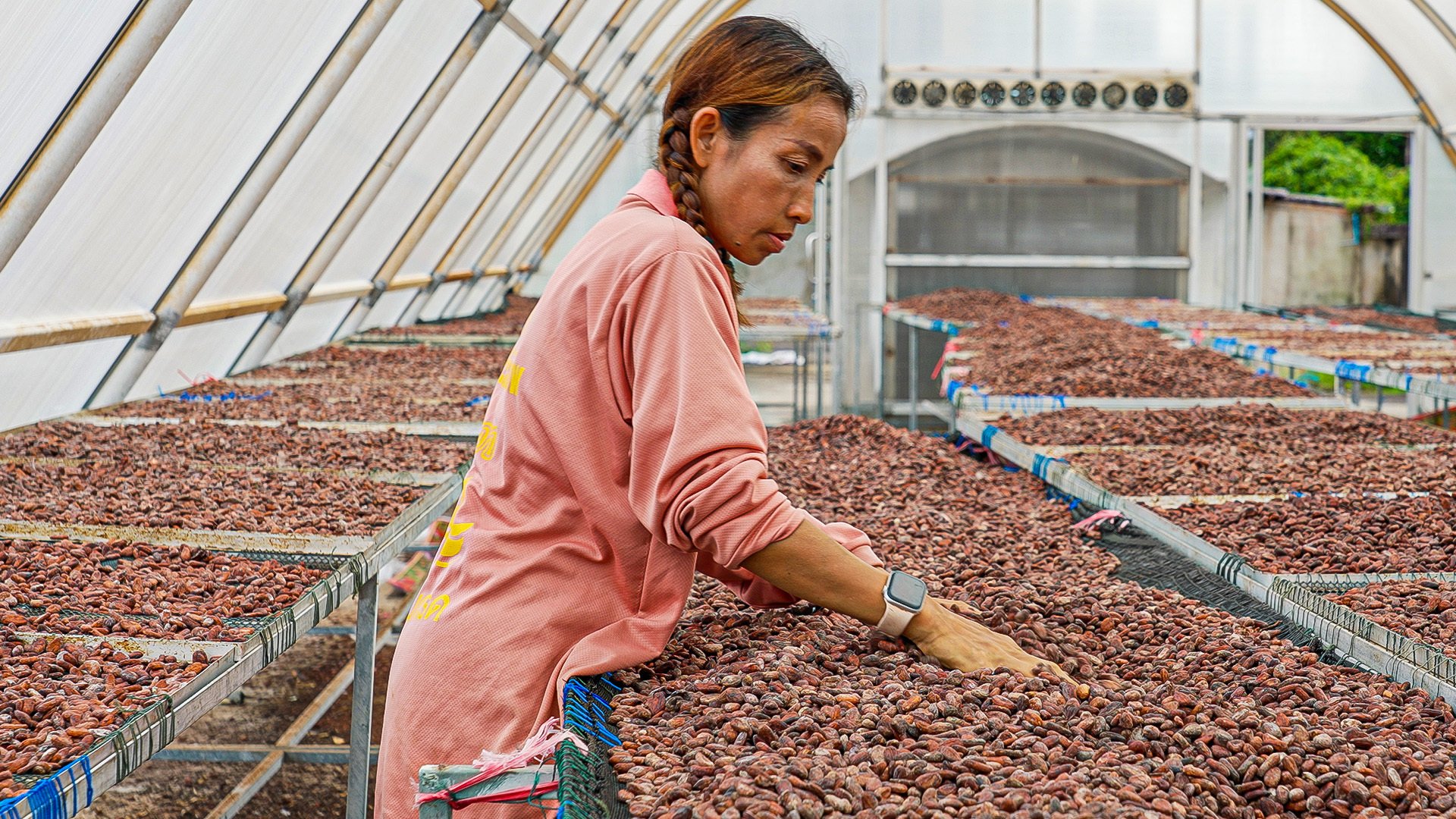 Why Thailand could bring a fresh start to the world’s chocolate industry