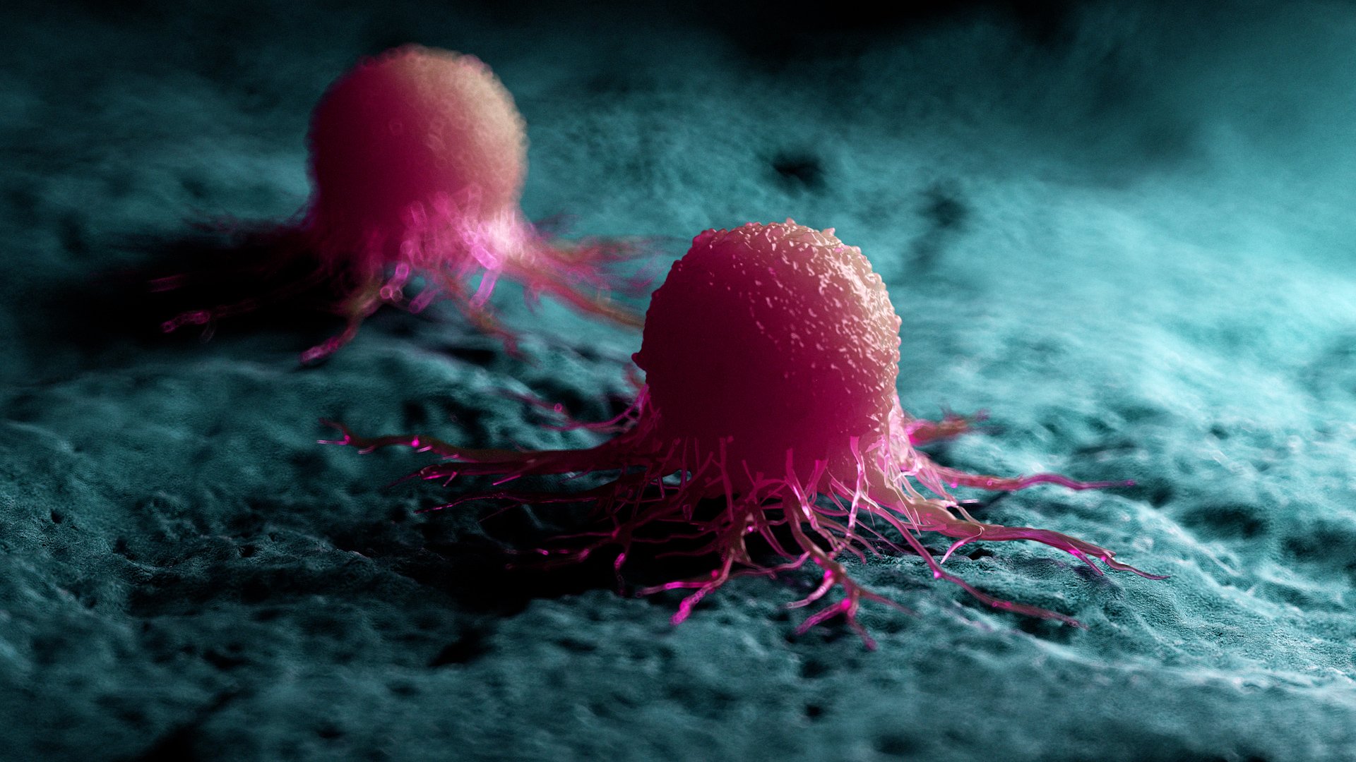 China-Singapore team’s nanovaccine suppresses cancer recurrence and spread in animal tests