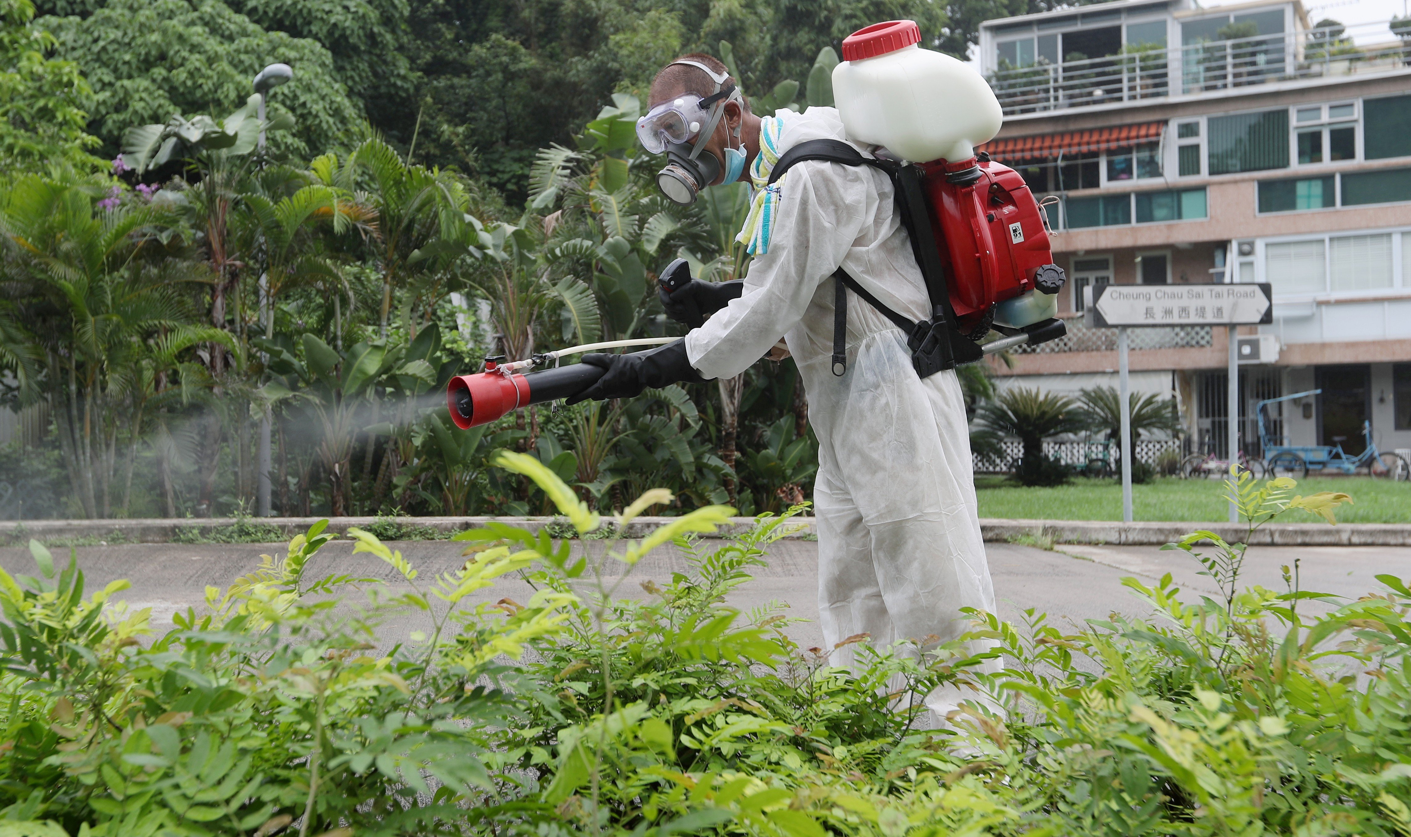 Mosquito-control measures on Cheung Chau, one of the affected areas. 