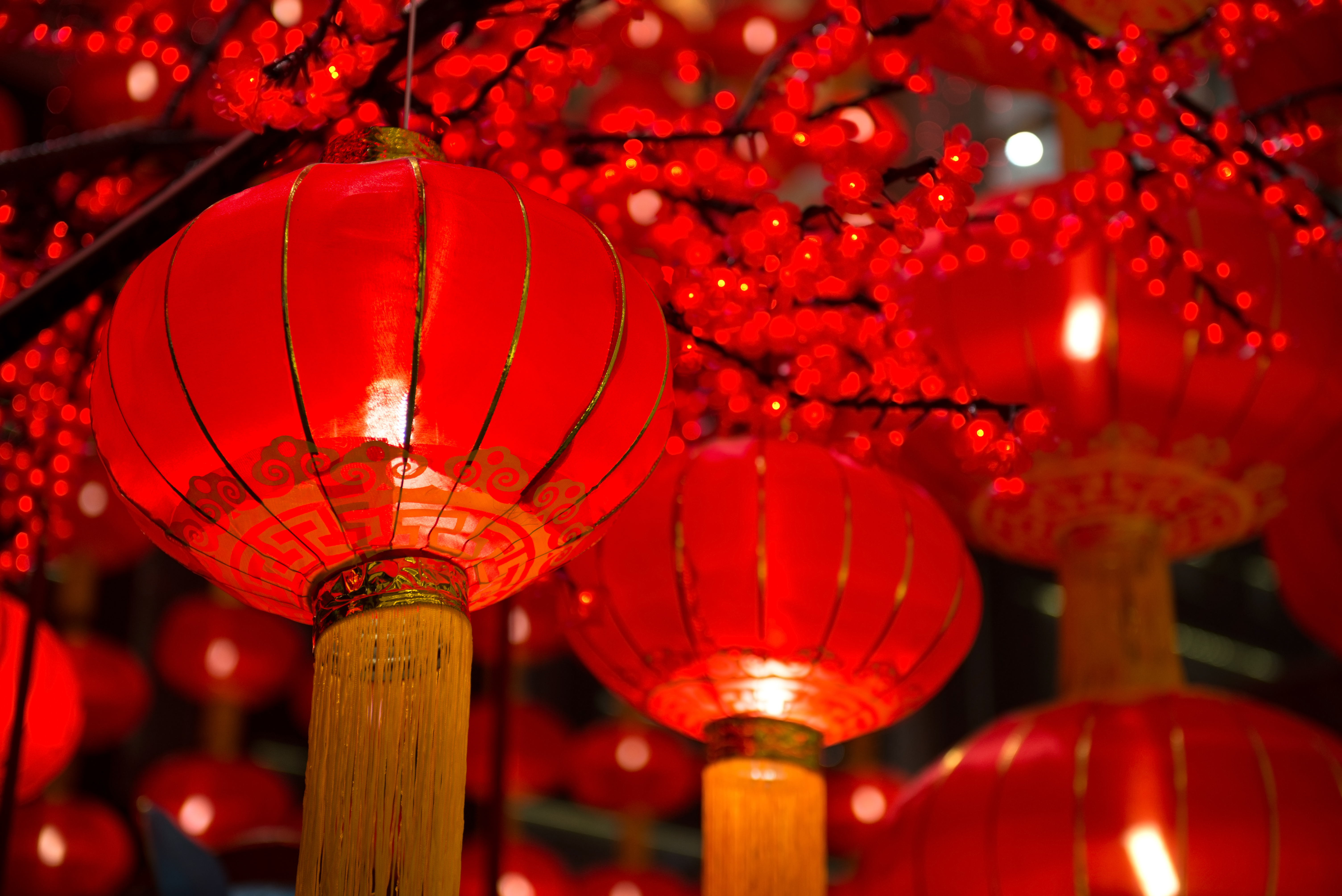 Your Guide to Sustainable Chinese New Year Home Decor