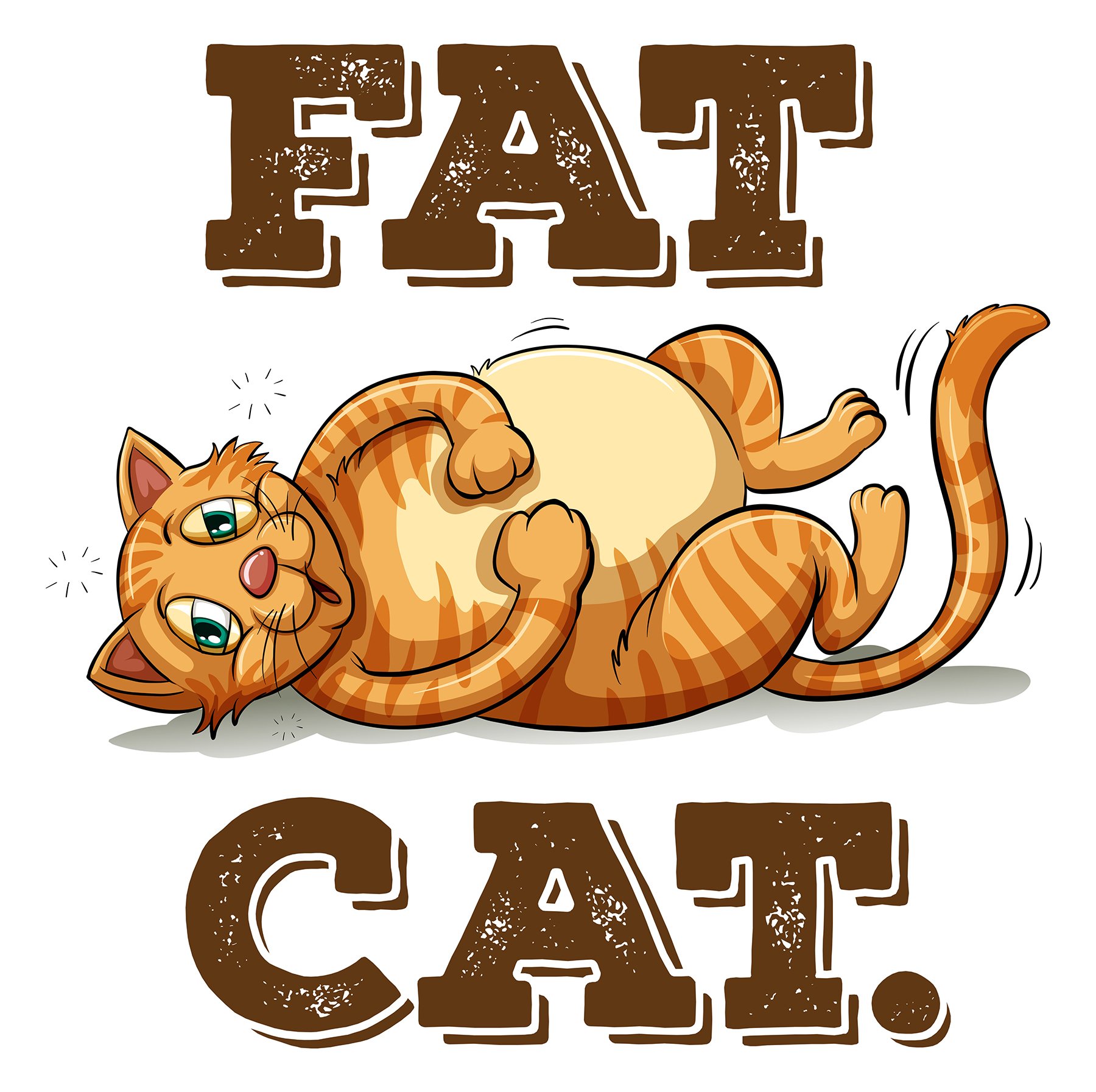 A guide to cat idioms and expressions, and how to use them - YP