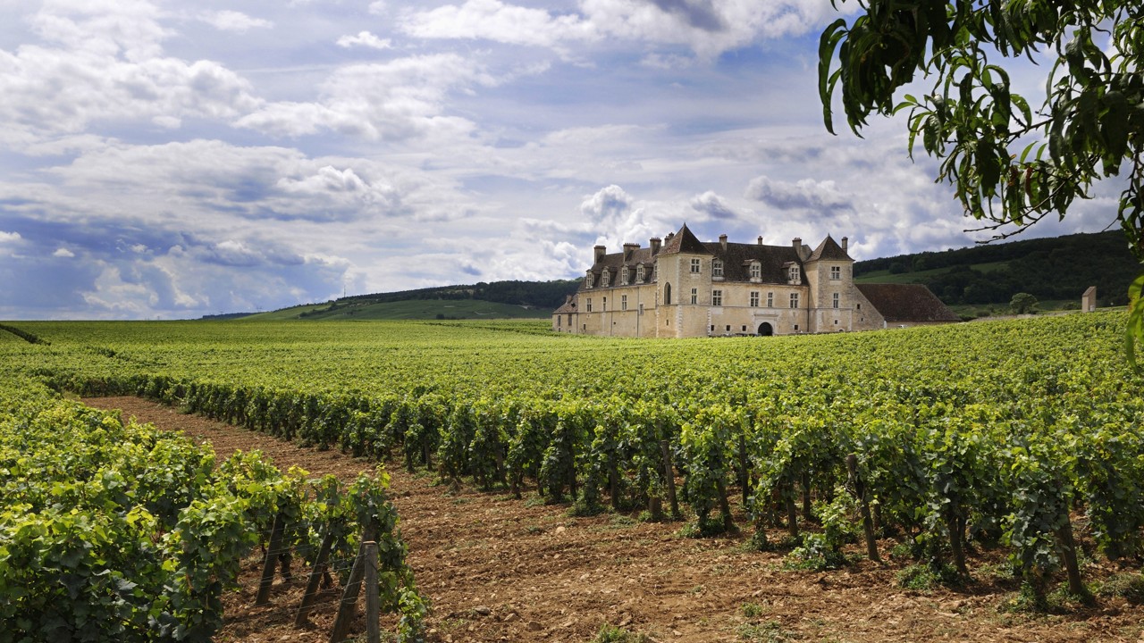 Clos Vougeot: one of Burgundy