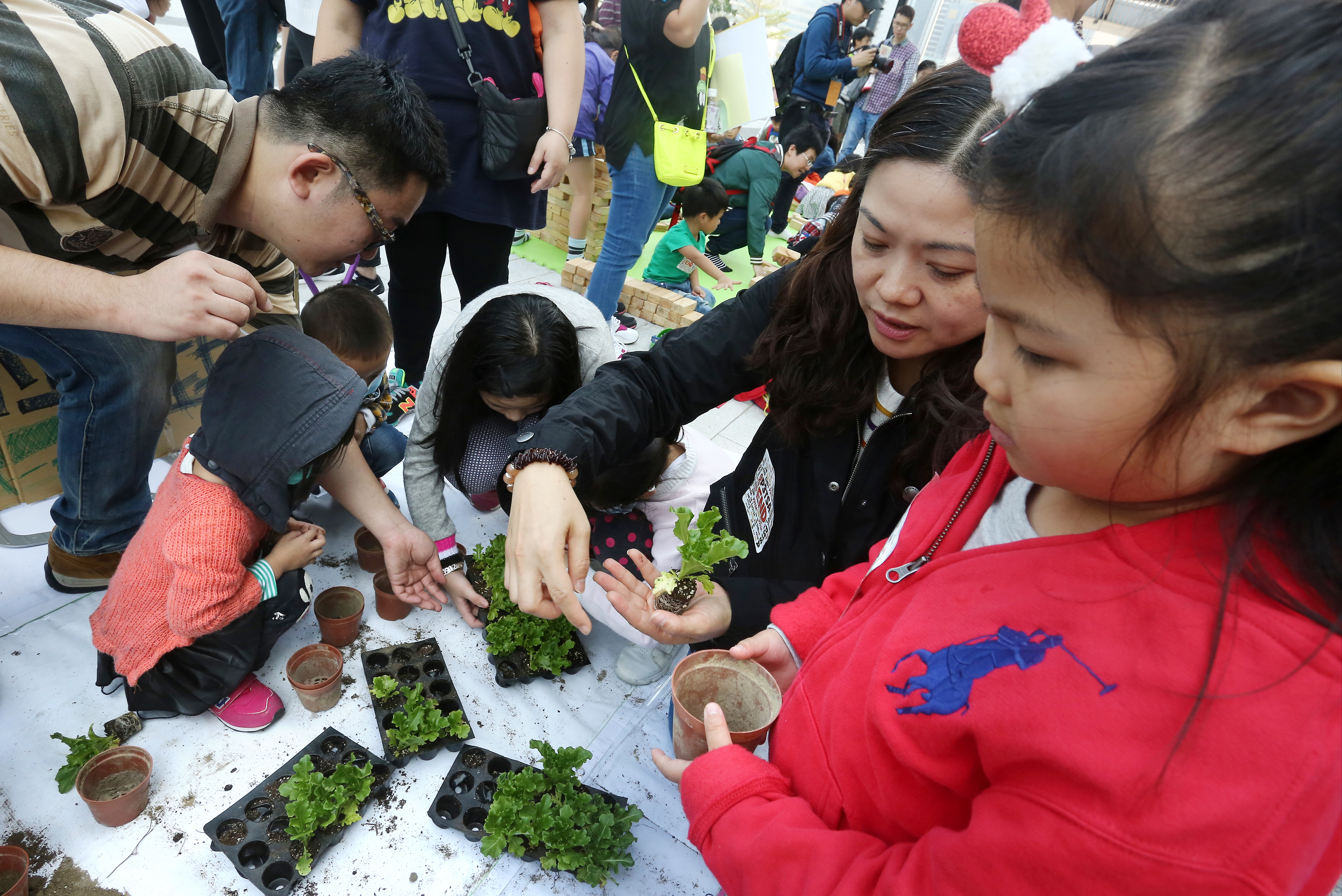 Parents and their kids plants outside Legco Building in Tamar while staging a protest against Territory-wide System Assessment (TSA). 29NOV15