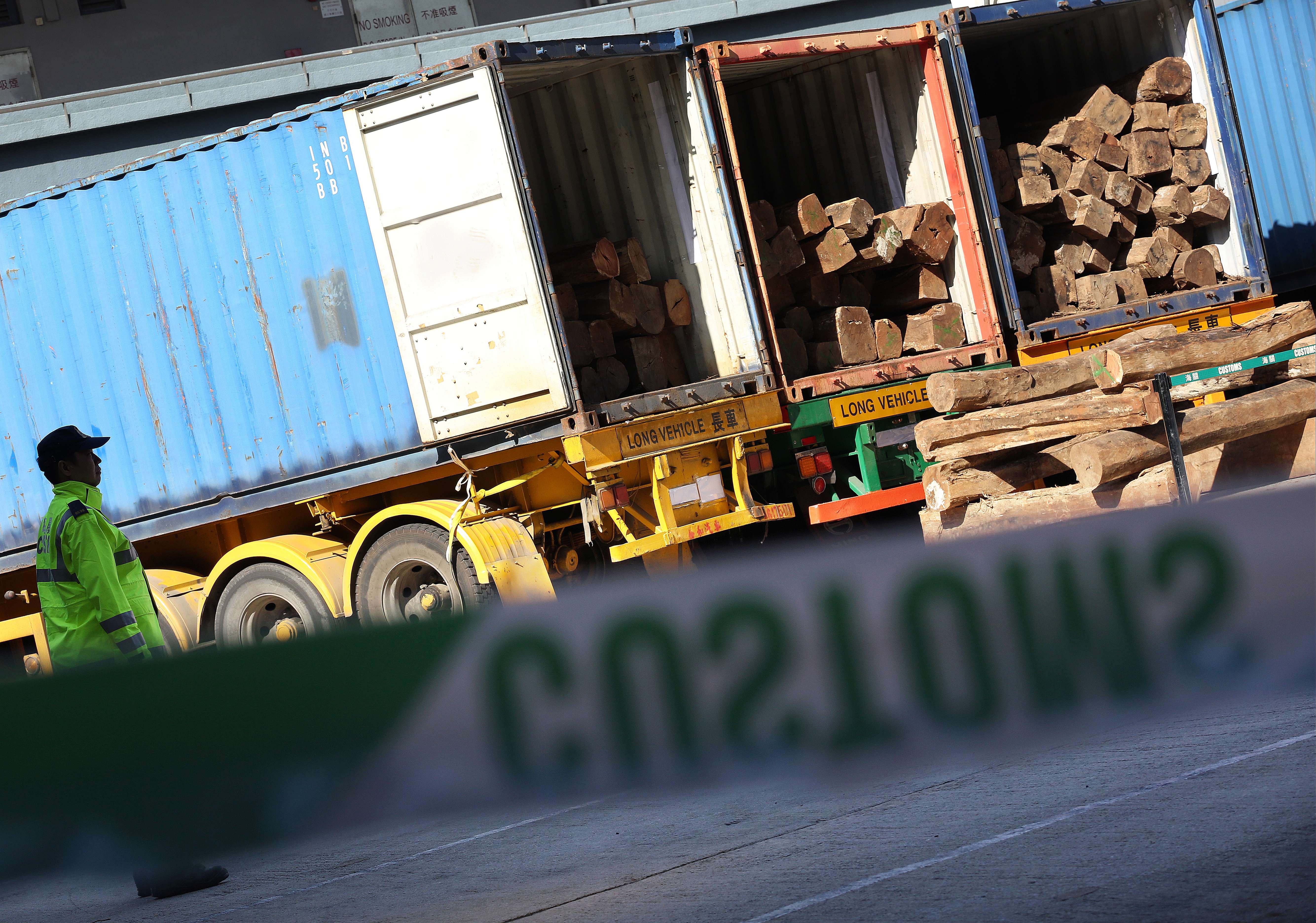 Hong Kong customs foiled the smuggling of four containers of endangered Honduras rosewood in 2014. The 92 tonnes of logs were valued at about HK$3 million. Photo: Nora Tam