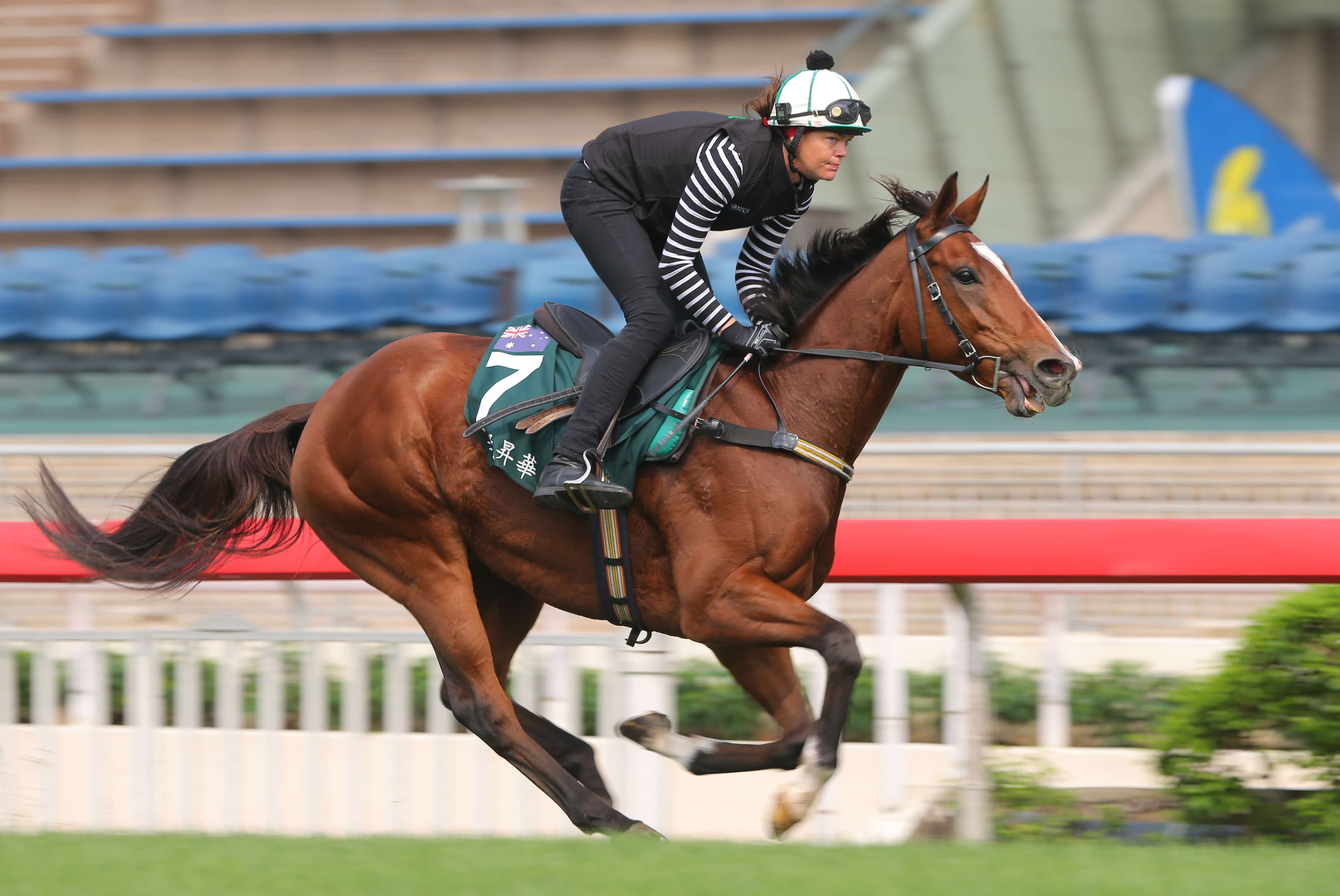 Rising Romance galloping on the turf at Sha Tin. Photos: Kenneth Chan