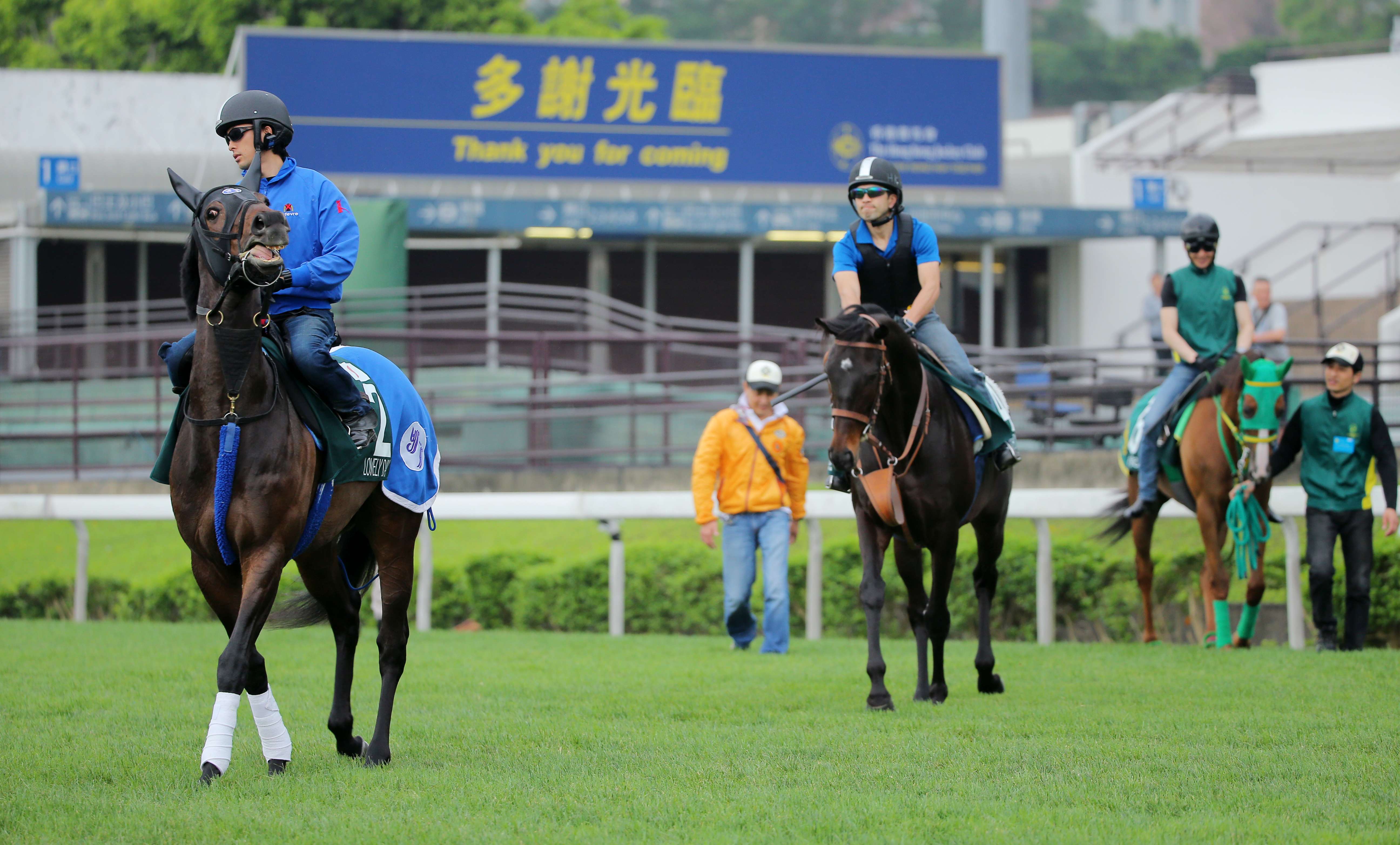 Japan launches a three-horse raid on today’s Audemars Piguet QE II Cup with Lovely Day, Satono Crown and Nuovo Record. Photo: Kenneth Chan