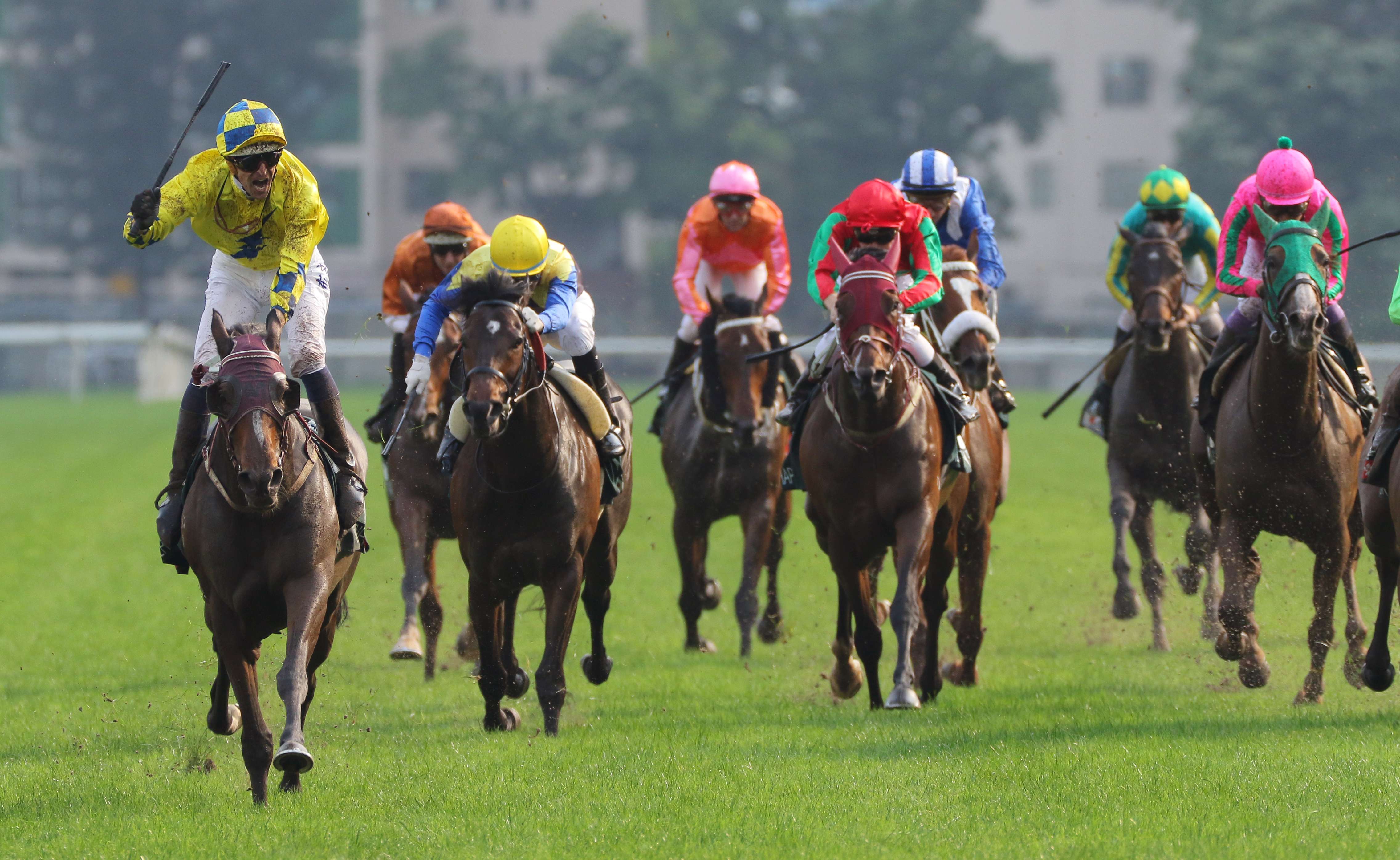 Hugh Bowman salutes as Werther wins the QE II Cup. Photo: Kenneth Chan