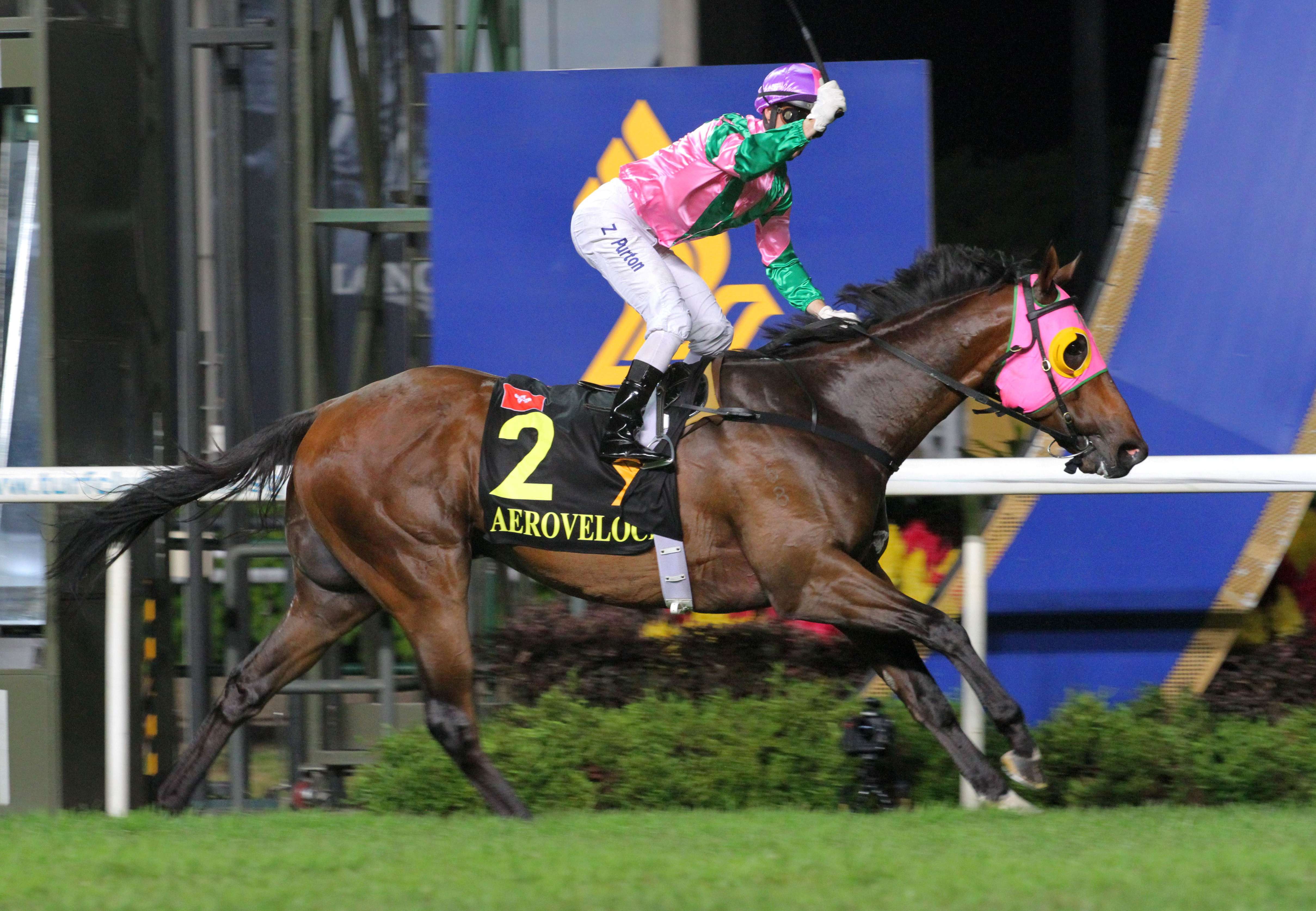 Aerovelocity wins what turned out to be the last KrisFlyer Sprint in May last year. The abandonment of Singapore’s international features has left an opening for Hong Kong. Photo: Kenneth Chan