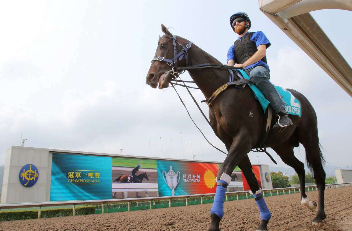 Bow Creek, with Richard Cronin aboard, prepares for a morning hitout on the all-weather track at Sha Tin on Friday. Photos: Kenneth Chan