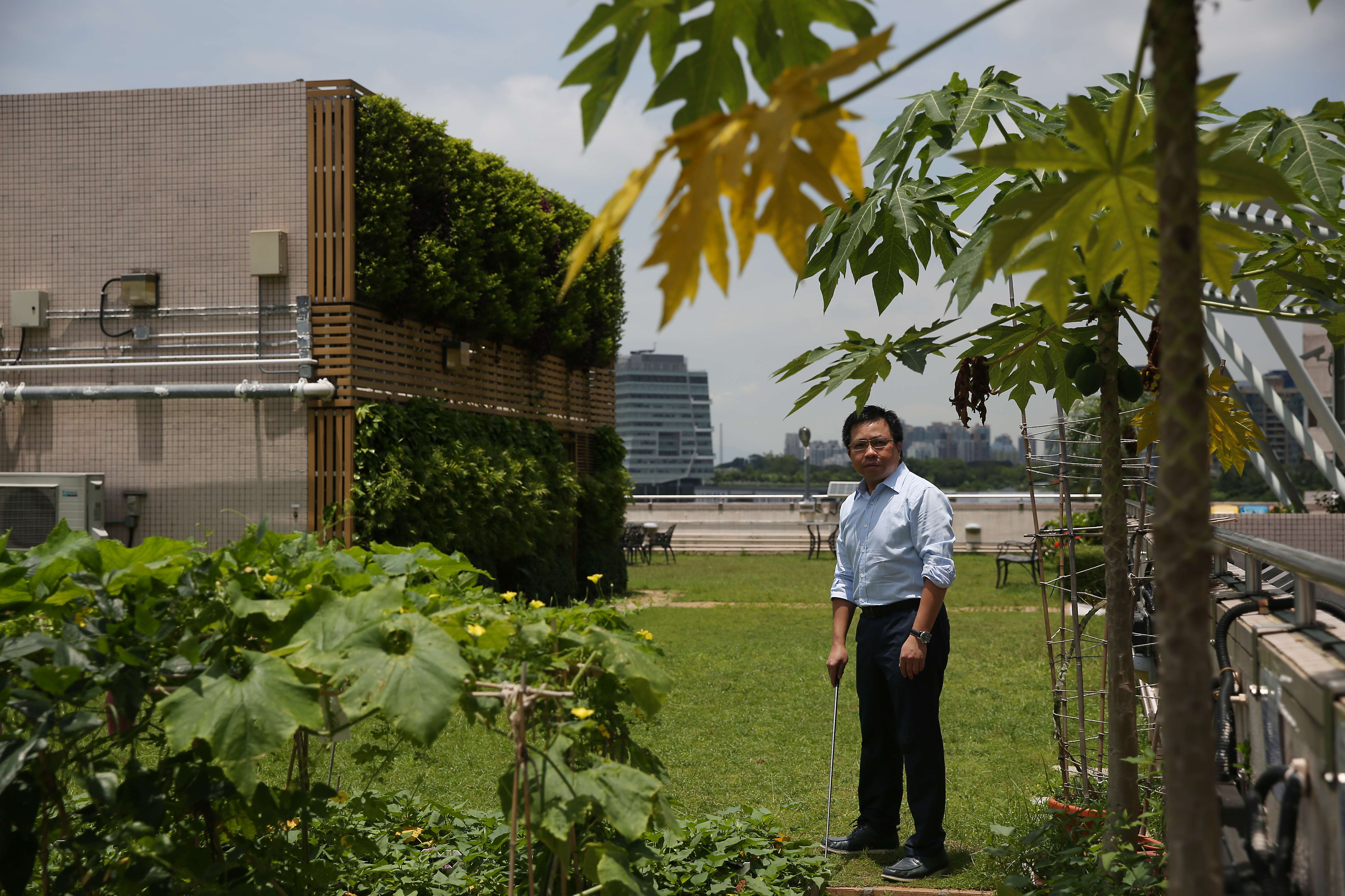 Former Institute of Surveyors president Vincent Ho inspects a Baptist University rooftop. Photo: Sam Tsang