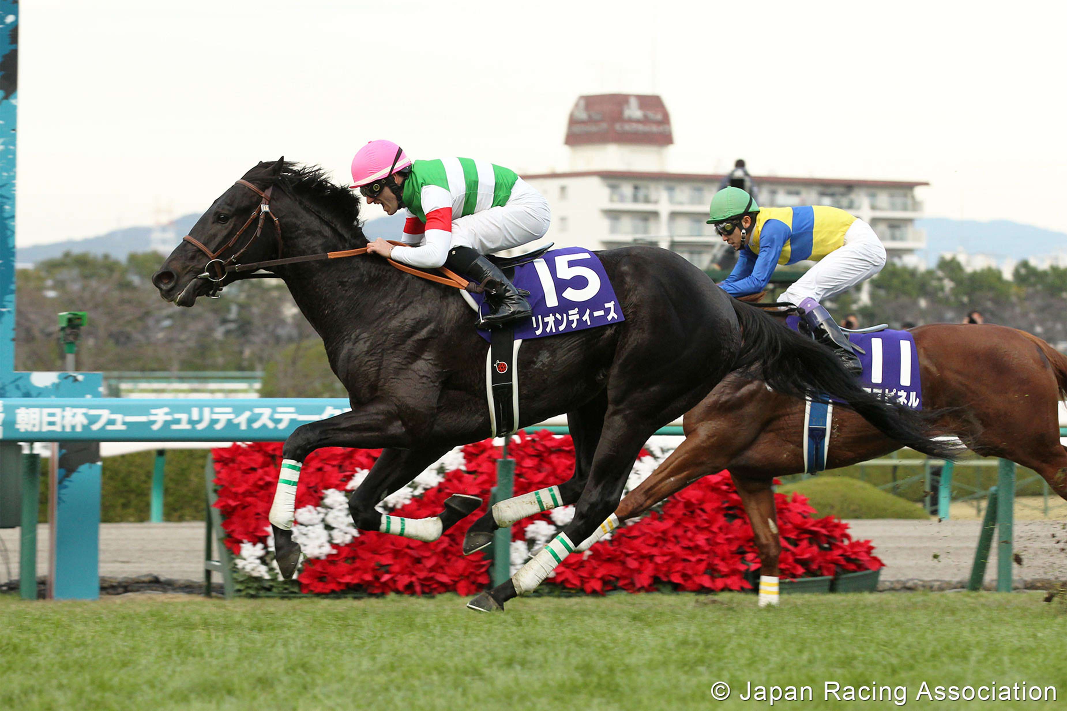 Leontes wins the Asahi Hai Futurity on December 20, 2015. Photo: Japan Racing Association