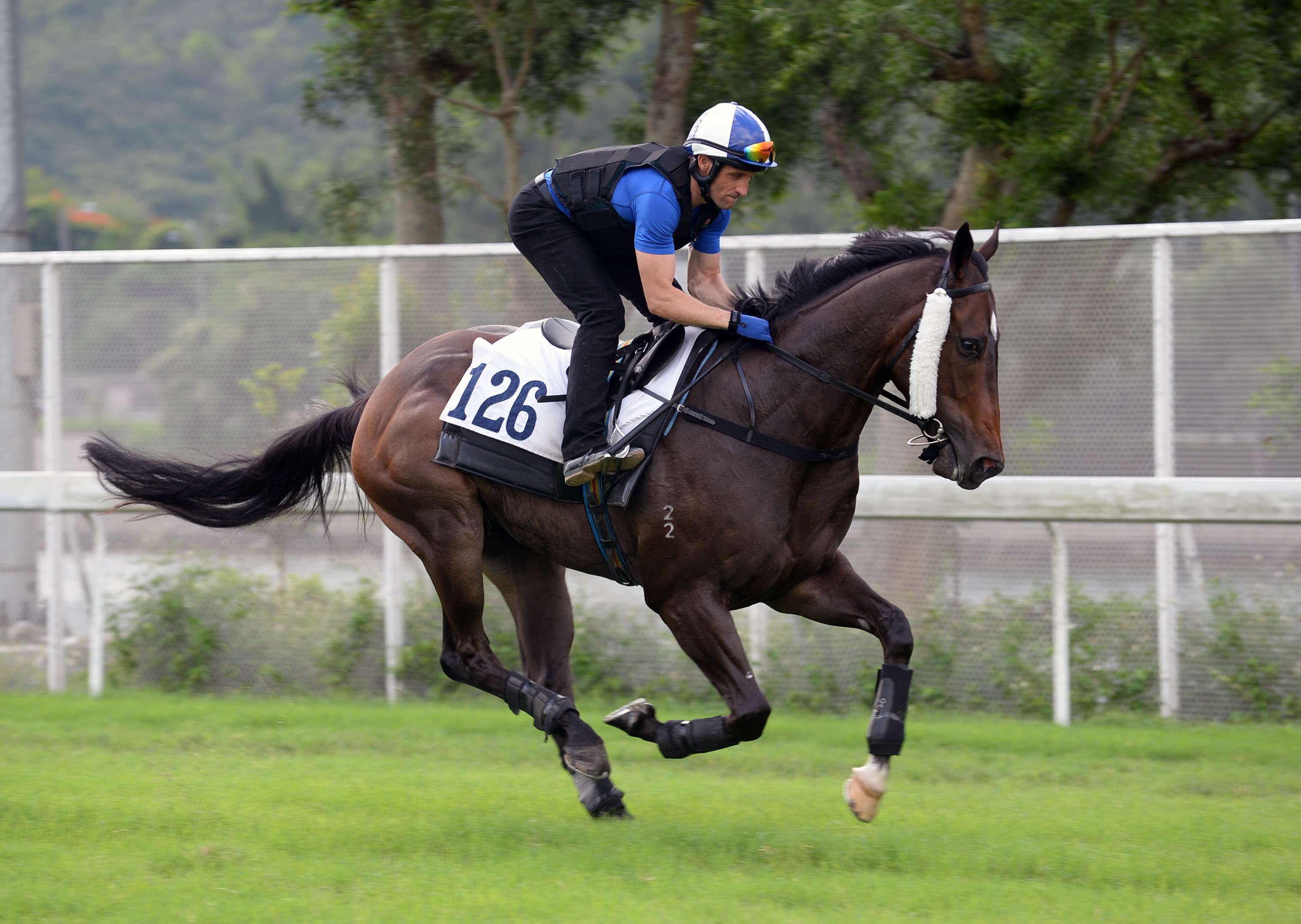 Neil Callan takes Green Card for a gallop down the riverside at Sha Tin on Thursday morning. Photo: Kenneth Chan