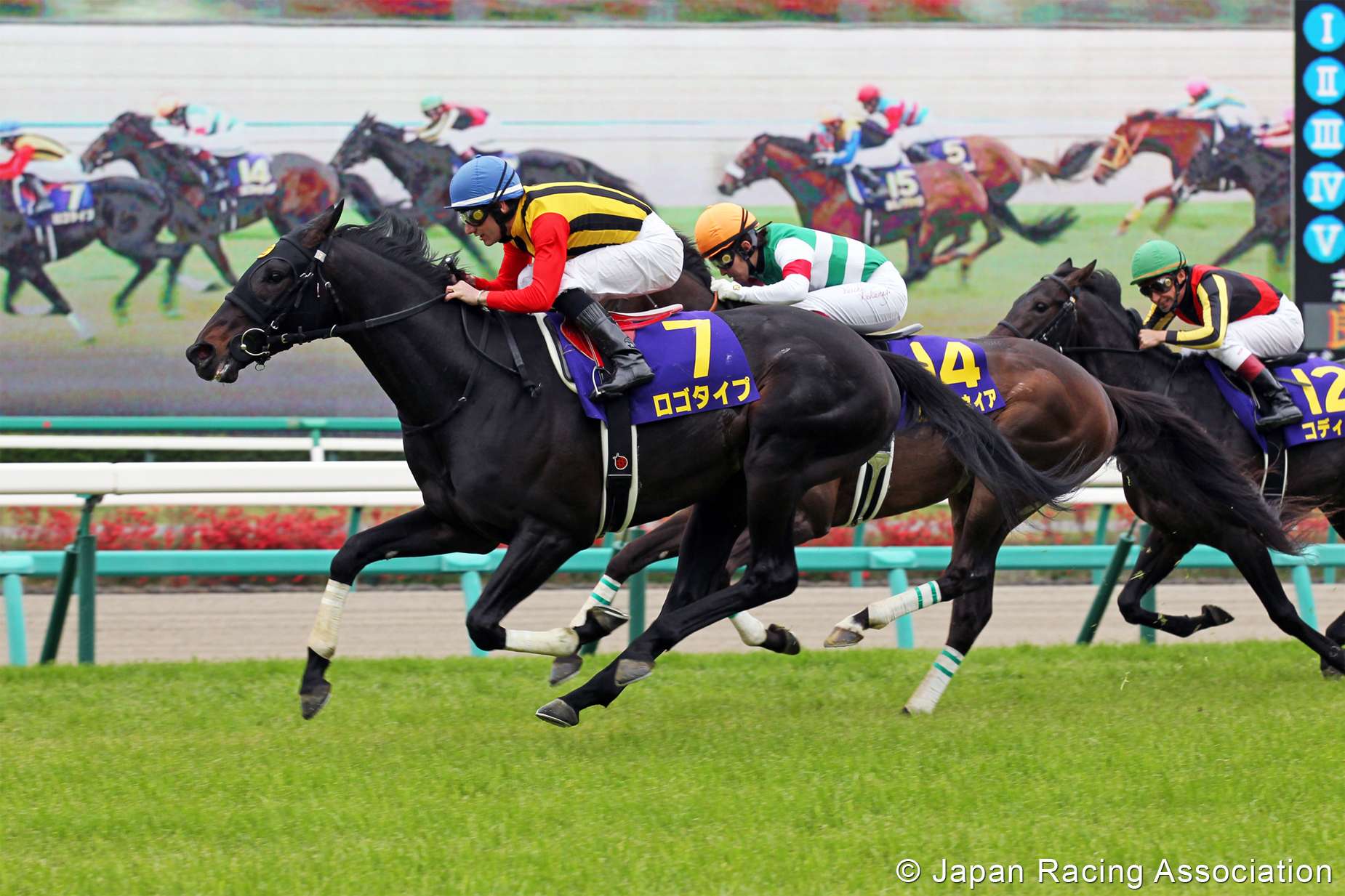 Logotype, pictured winning the 2013 Satsuki Sho at Nakayama, took out the Yasuda Kinen at Tokyo racecourse on Sunday. Photo: Japan Racing Association