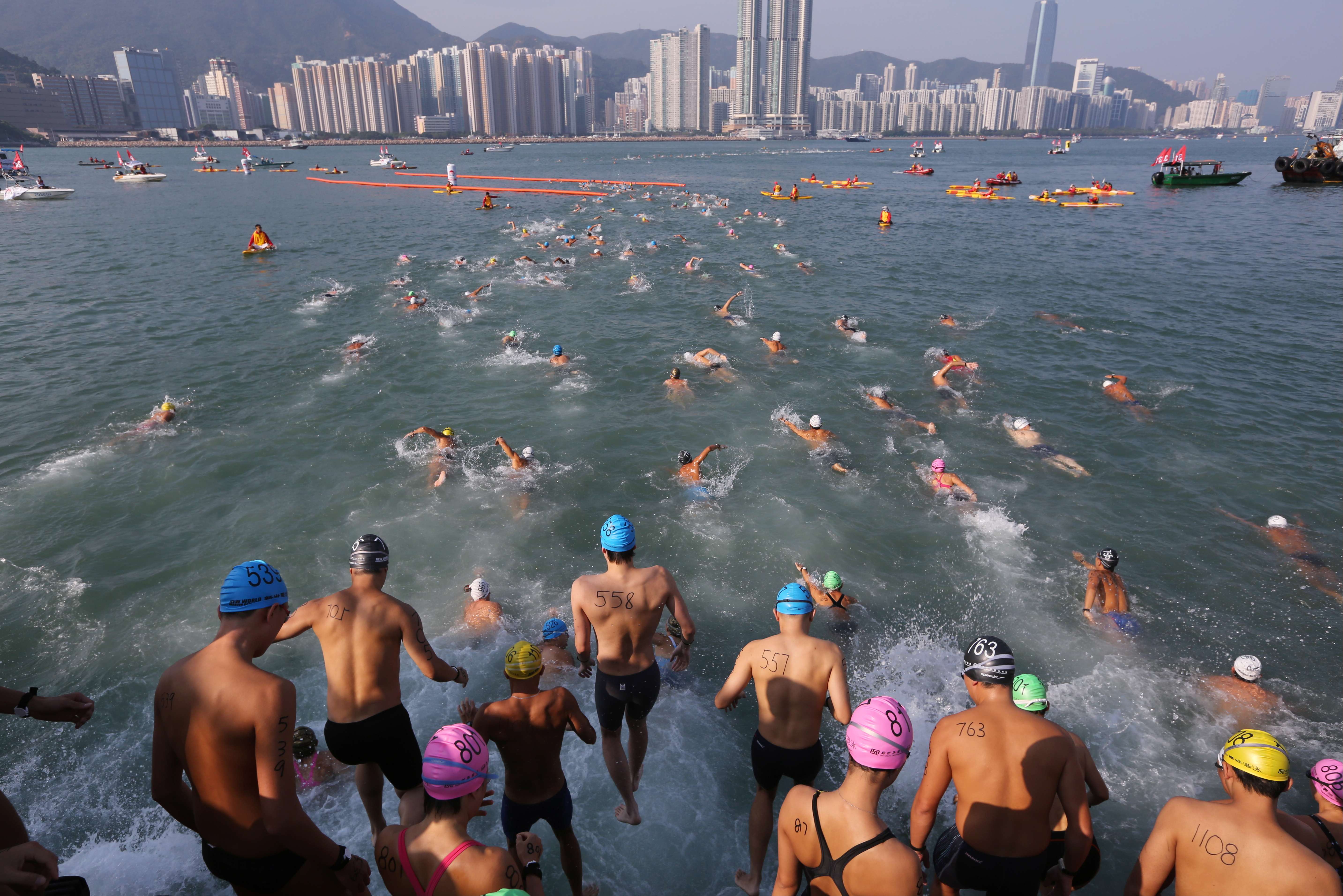 Swimmers compete at the 2014 cross-harbour race. Photo: Sam Tsang
