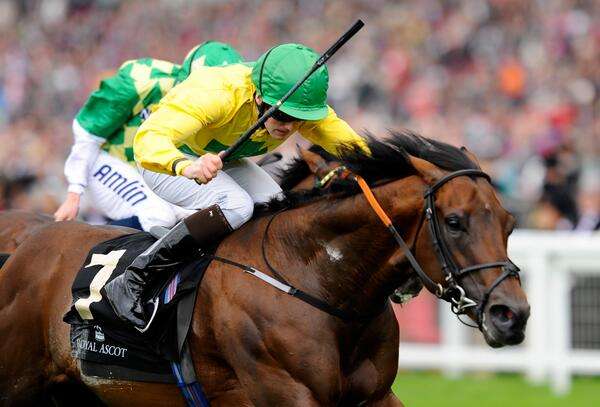Roca Tumu wins the Britannia Stakes in 2013. He would eventually race in Hong Kong as Beauty Flame, where his biggest win has been the Jockey Club Mile. Photo: Supplied
