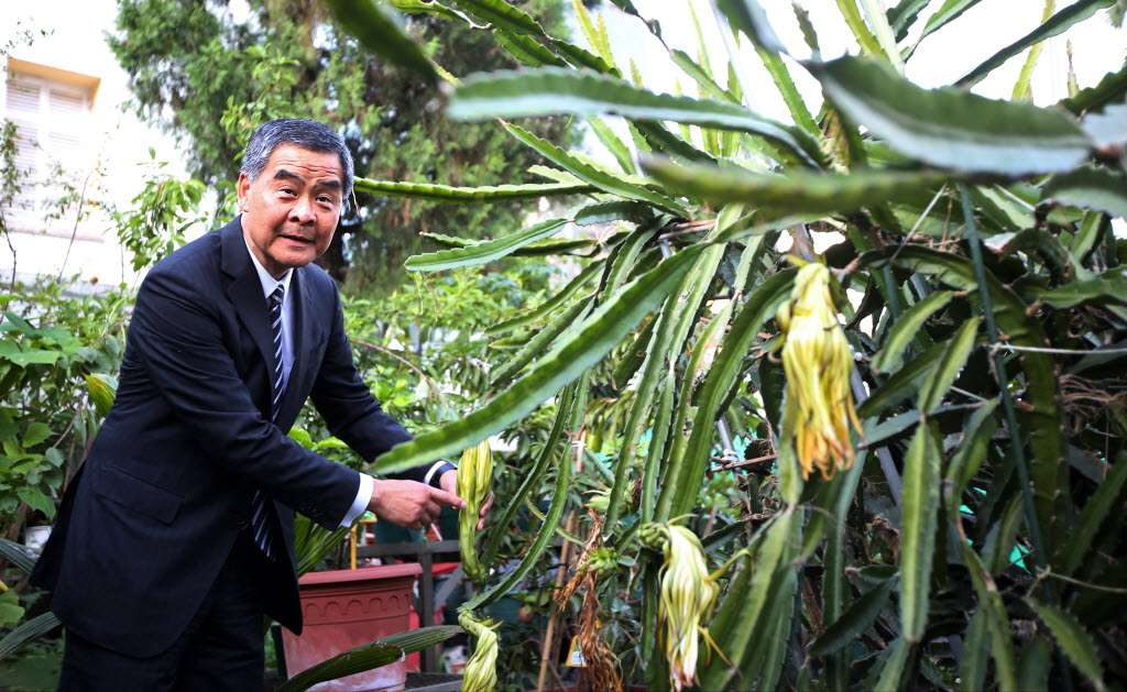 Leung, showing some of his plants, says gardening helps him release the stress of his job. Photo: Nora Tam