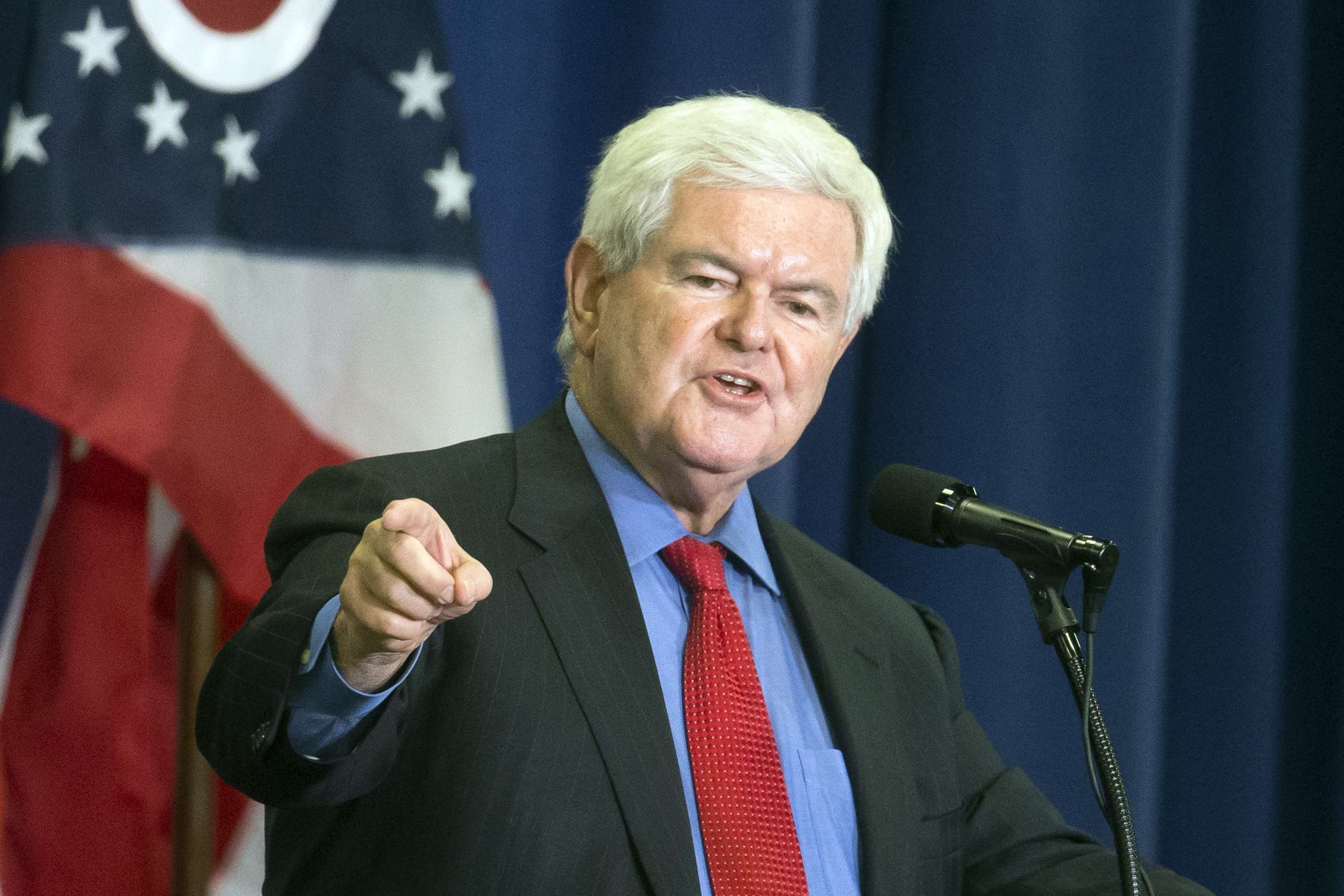 Former House speaker Newt Gingrich. Photo: AP