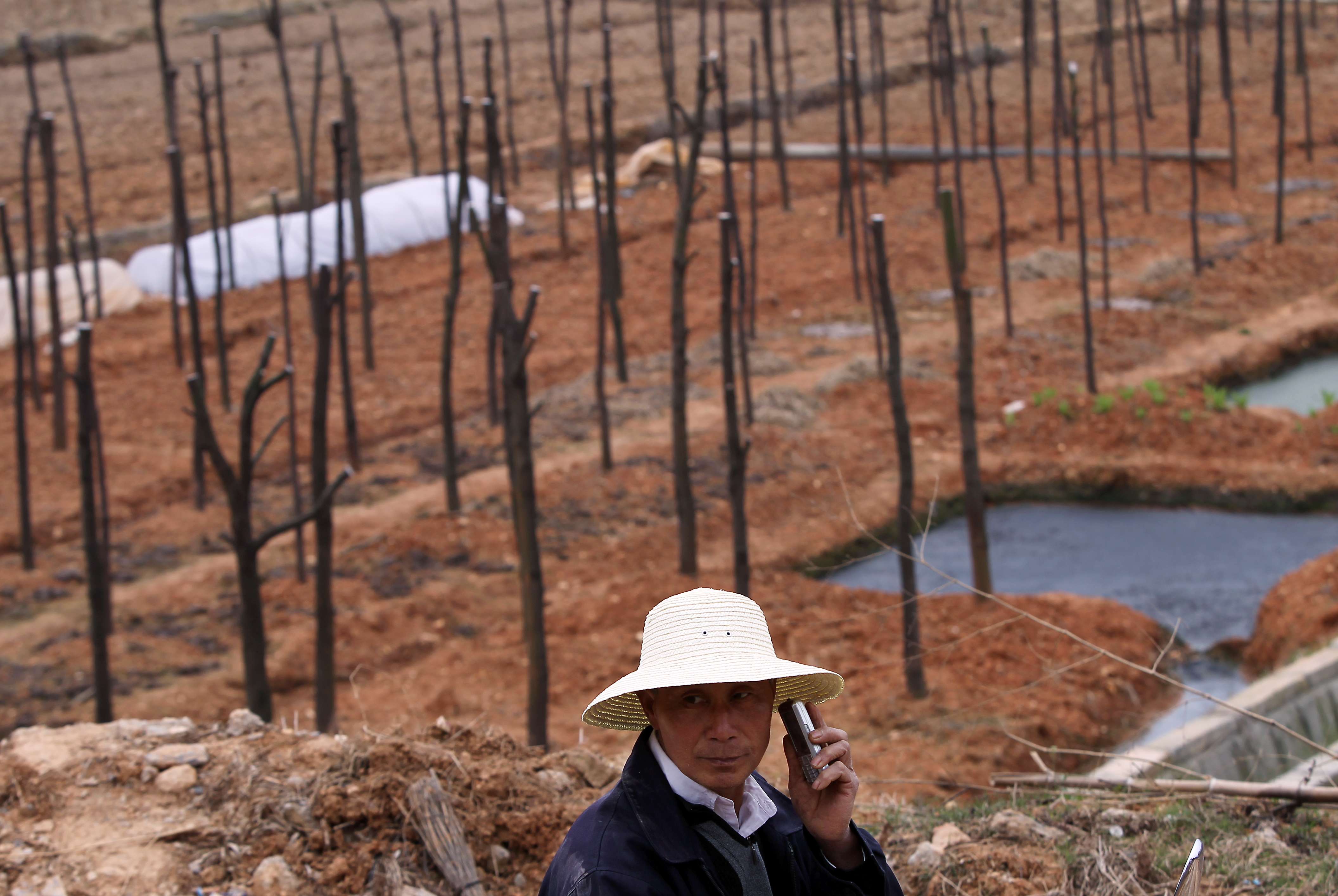 A Hunan farmer makes a call on his smartphone. Patrick Low says the WTO must ensure that the available information and burgeoning platforms for conducting business are expanded to offer opportunities for businesses across the globe. Photo: Simon Song