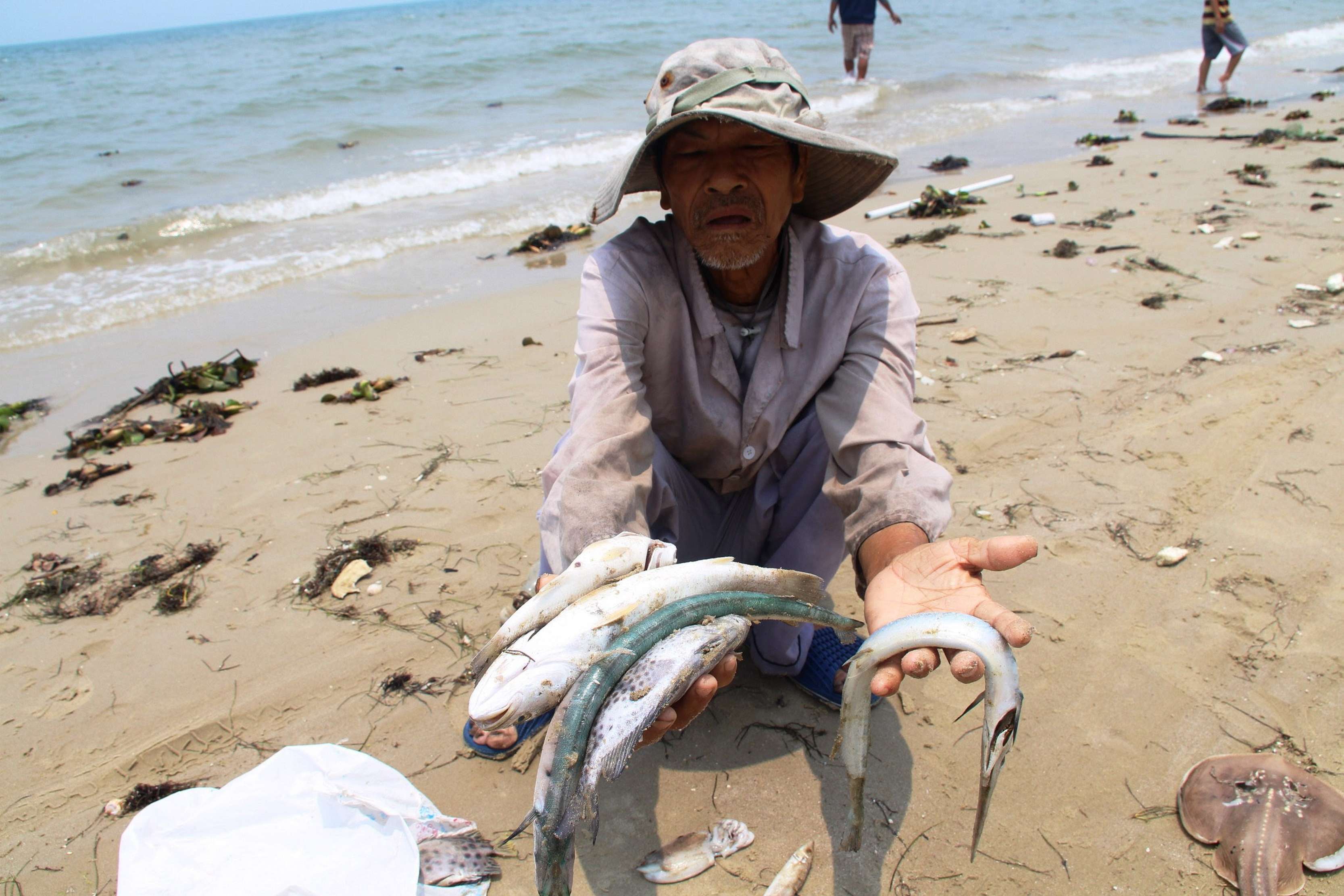 Fish stocks off south-central Vietnam imperiled as trawlers, fine