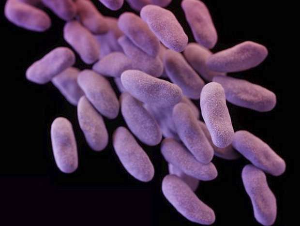A three-dimensional computer-generated image of one group of antibiotic-resistant bacteria. Photo: AP