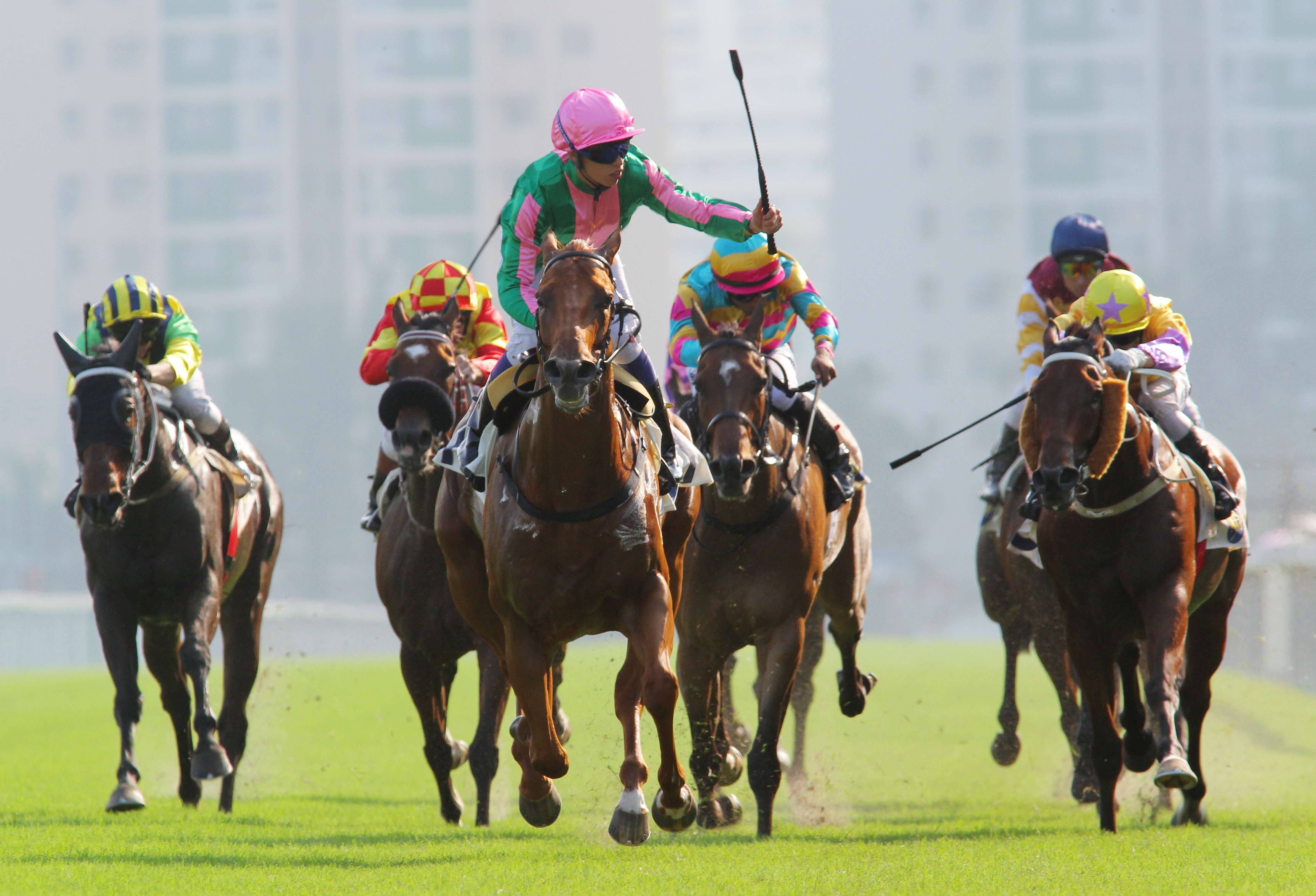 Bundle Of Joy, ridden by Vincent Ho, wins the first edition of the renamed National Day Cup (the Group Three over 1,000m) in 2014. Photos: Kenneth Chan