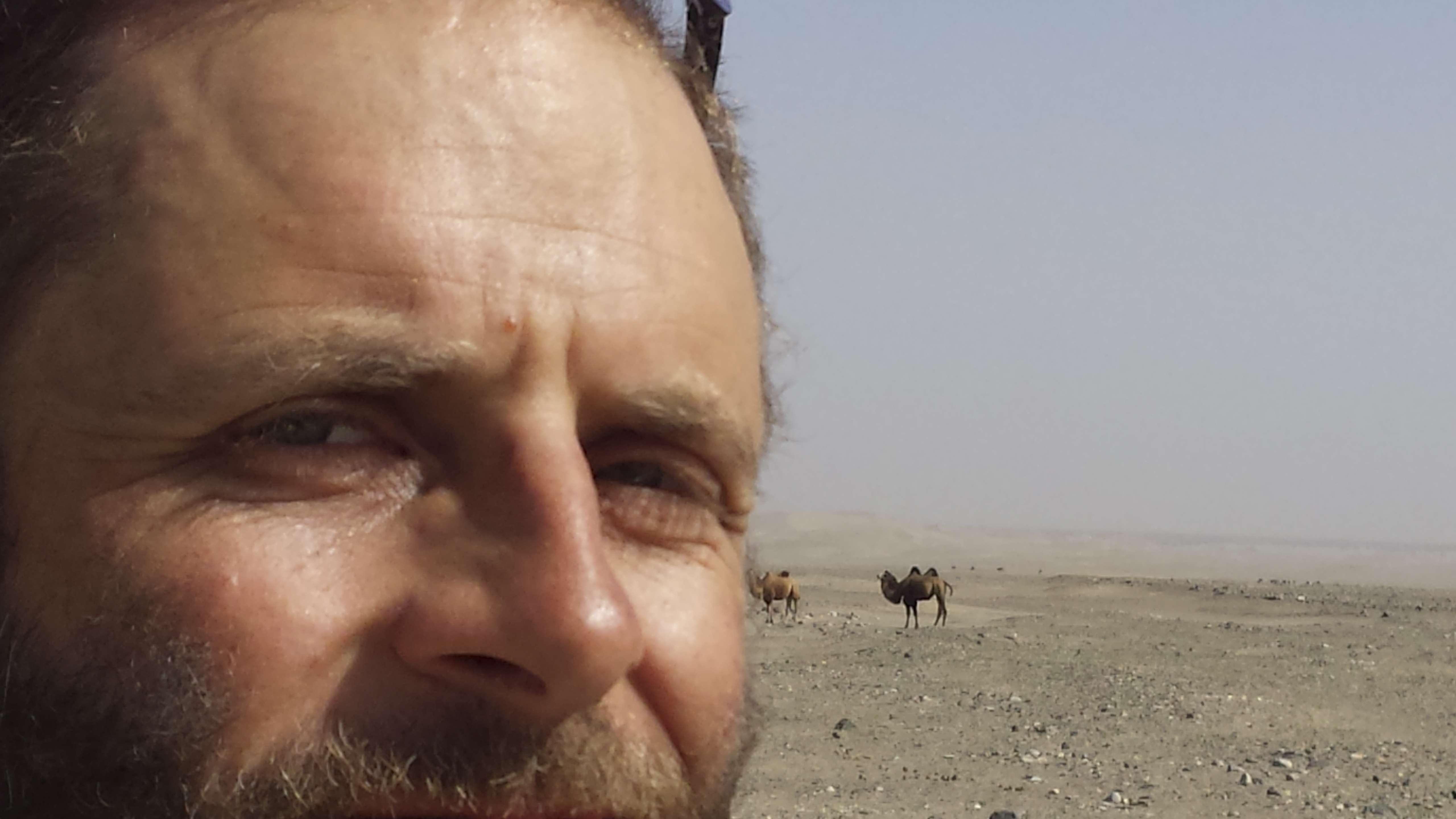 Rob Lilwall comes across some wild camels in the desert near the southern Silk Road. Photos: courtesy of Rob Lilwall