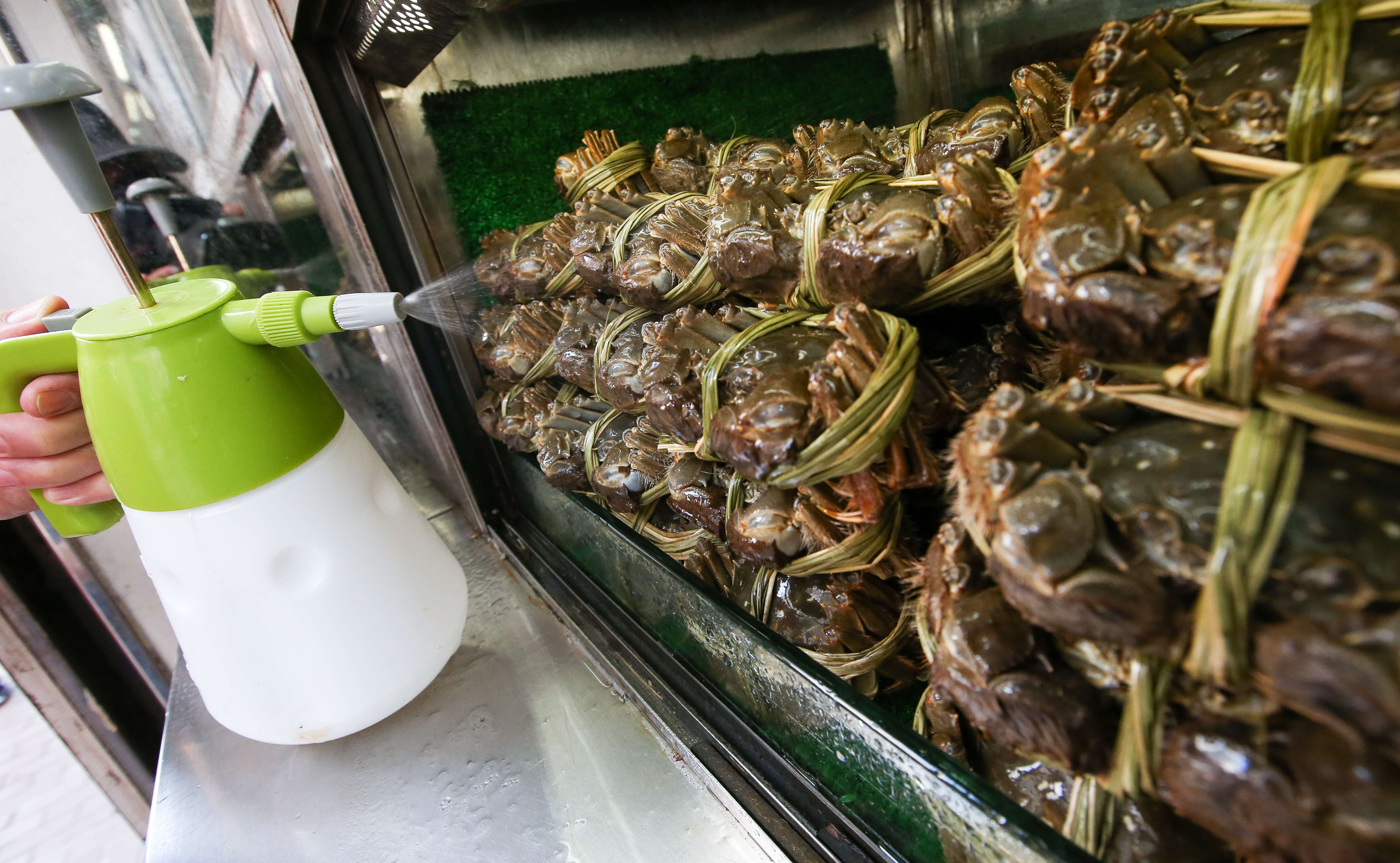 Crabs for sale in Happy Valley in Hong Kong. Photo: David Wong