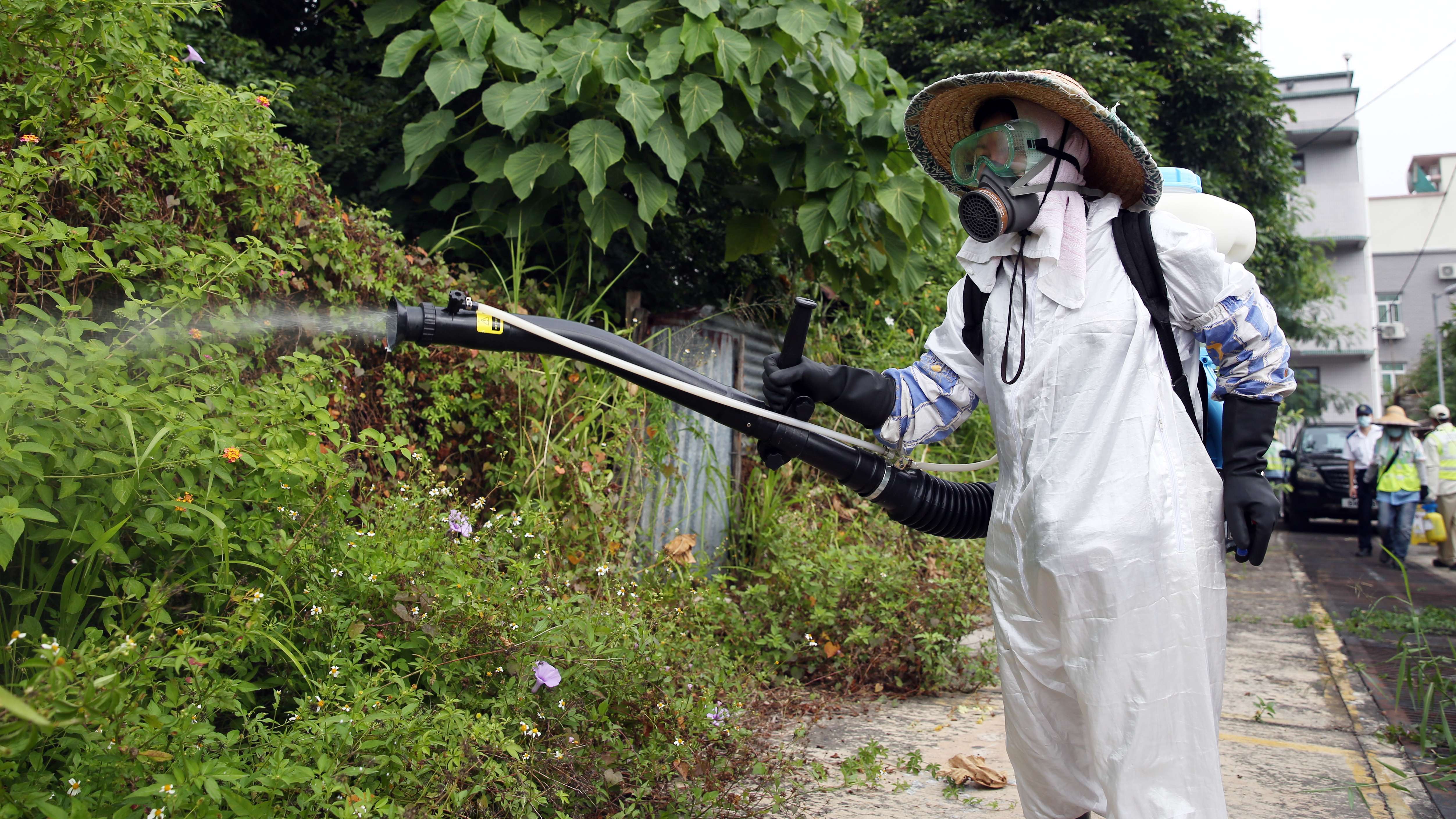Food and Environmental Hygiene Department officers take mosquito control measures at Yan Sau Wai in Yuen Long. Photo: Sam Tsang