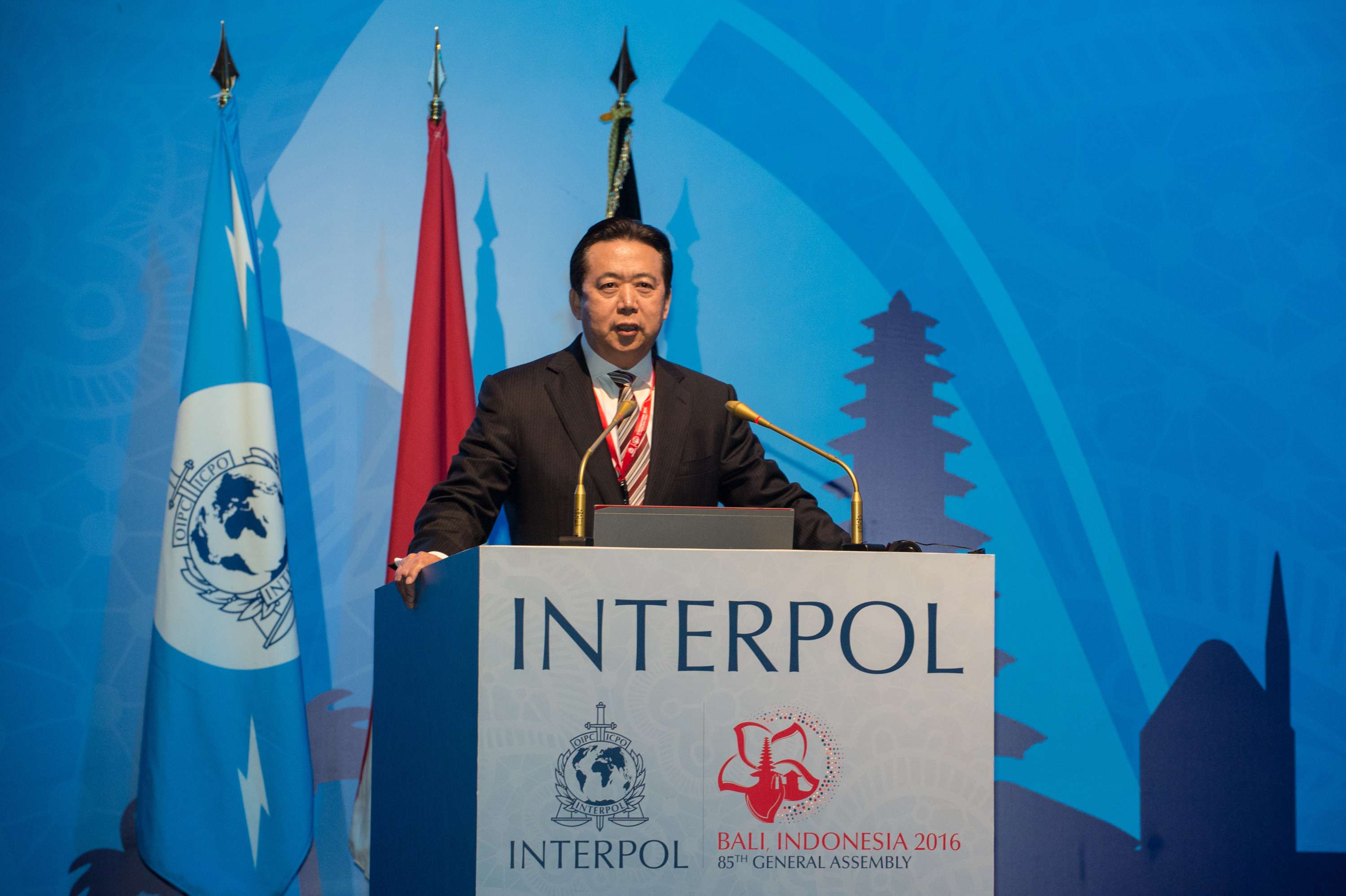 Meng Hongwei, vice-minister of public security, is the newly elected Interpol president. Photo: Xinhua
