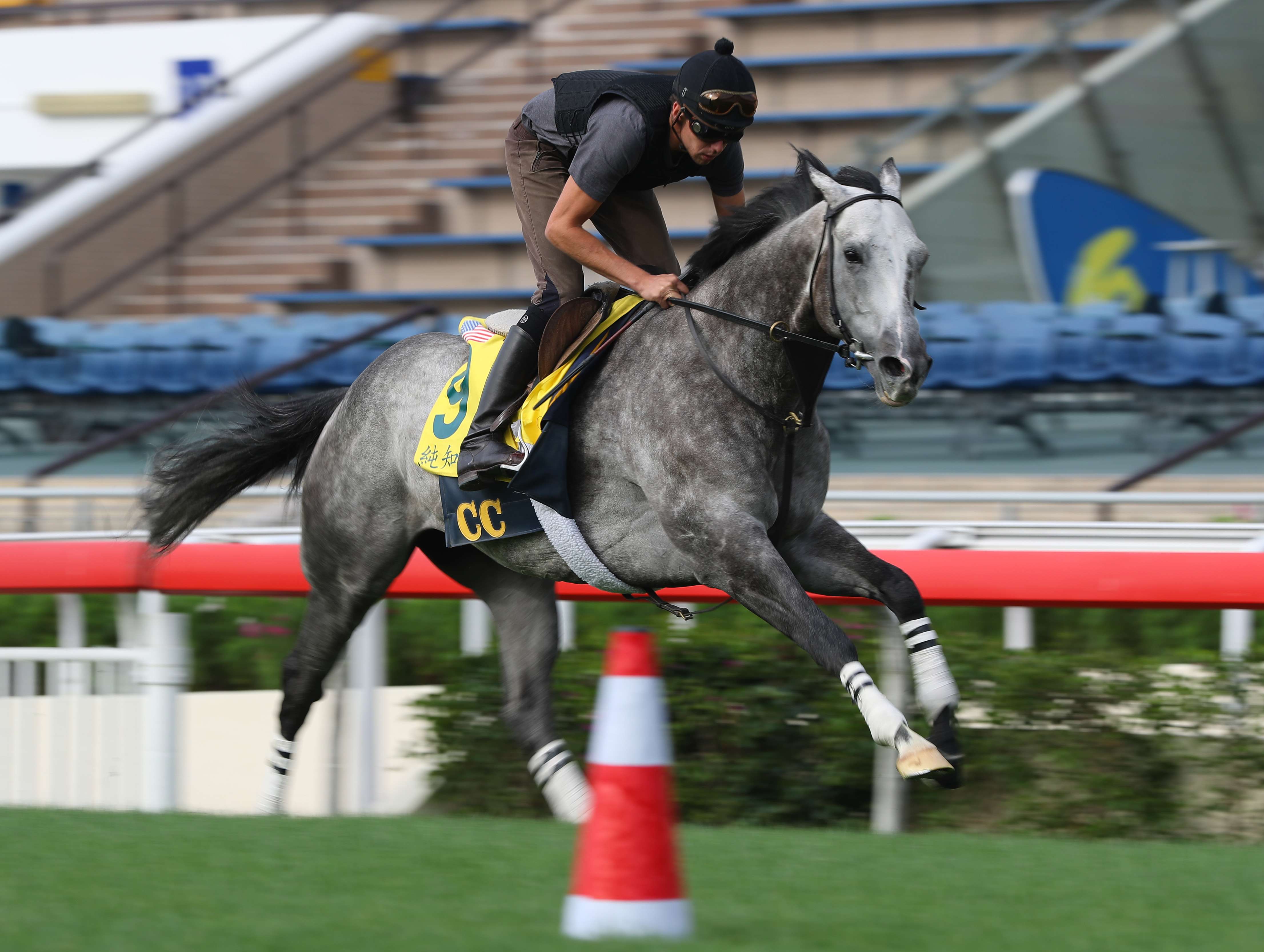 Pure Sensation galloping on the turf at Sha Tin. Photo: Kenneth Chan