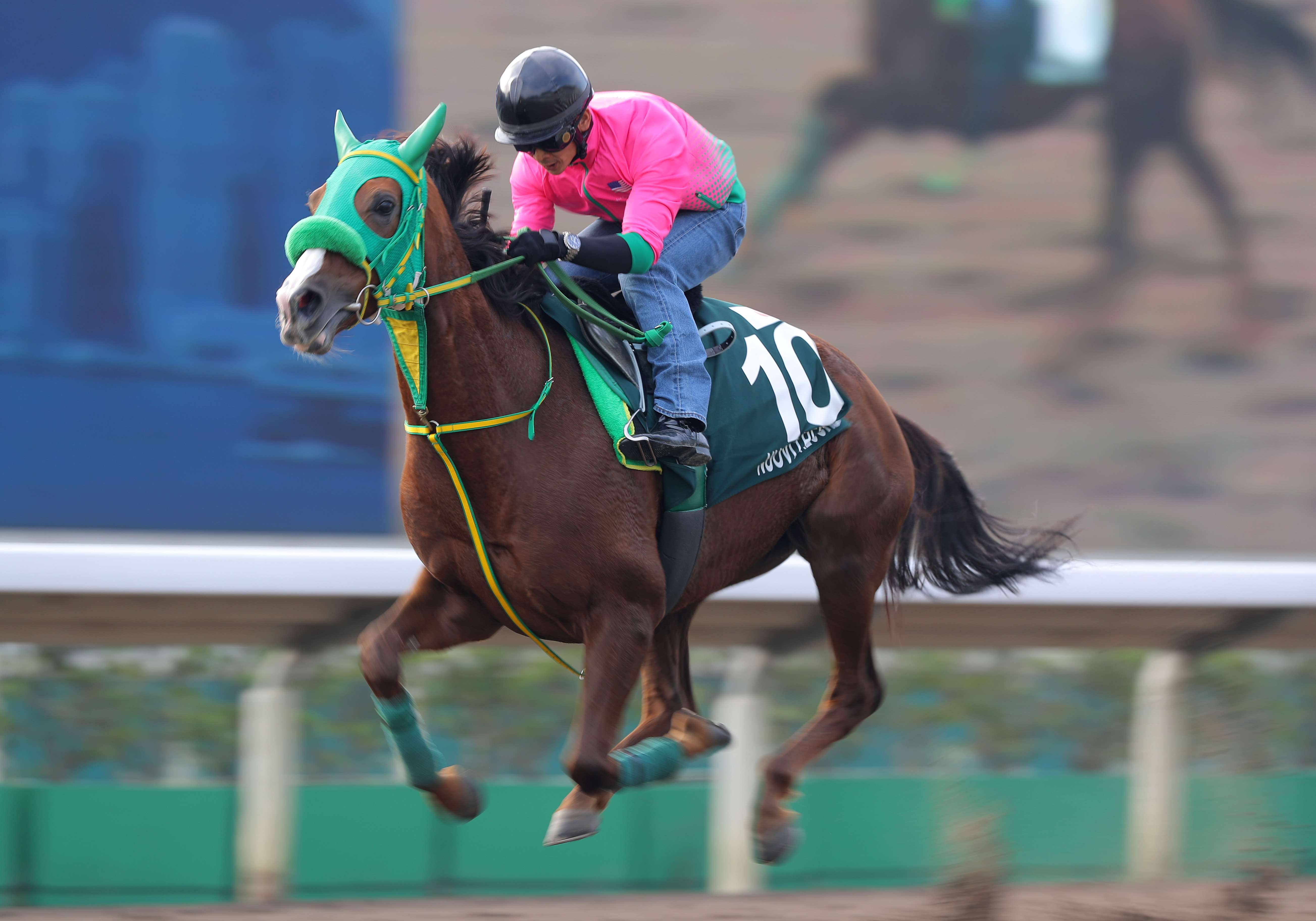 Hong Kong Vase contestant Nuovo Records gallops around Sha Tin on Wednesday morning. Photos: Kenneth Chan