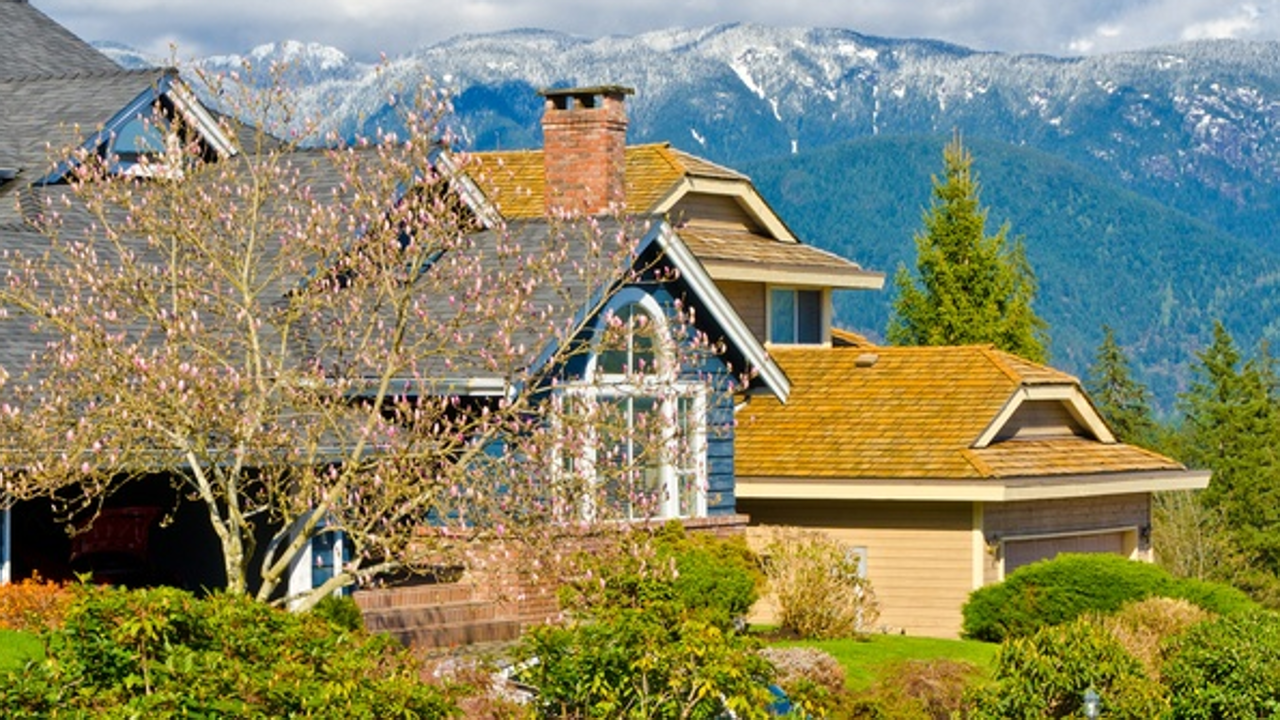Houses in North Vancouver. Home sales across British Columbia hit record levels in 2016. Photo: Shutterstock