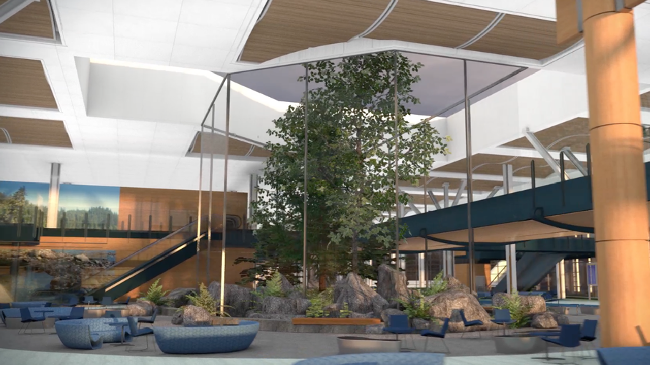 This rendering shows some real trees that would be growing in a glassed-in part of the future international terminal at Vancouver International Airport. Photo: YVR