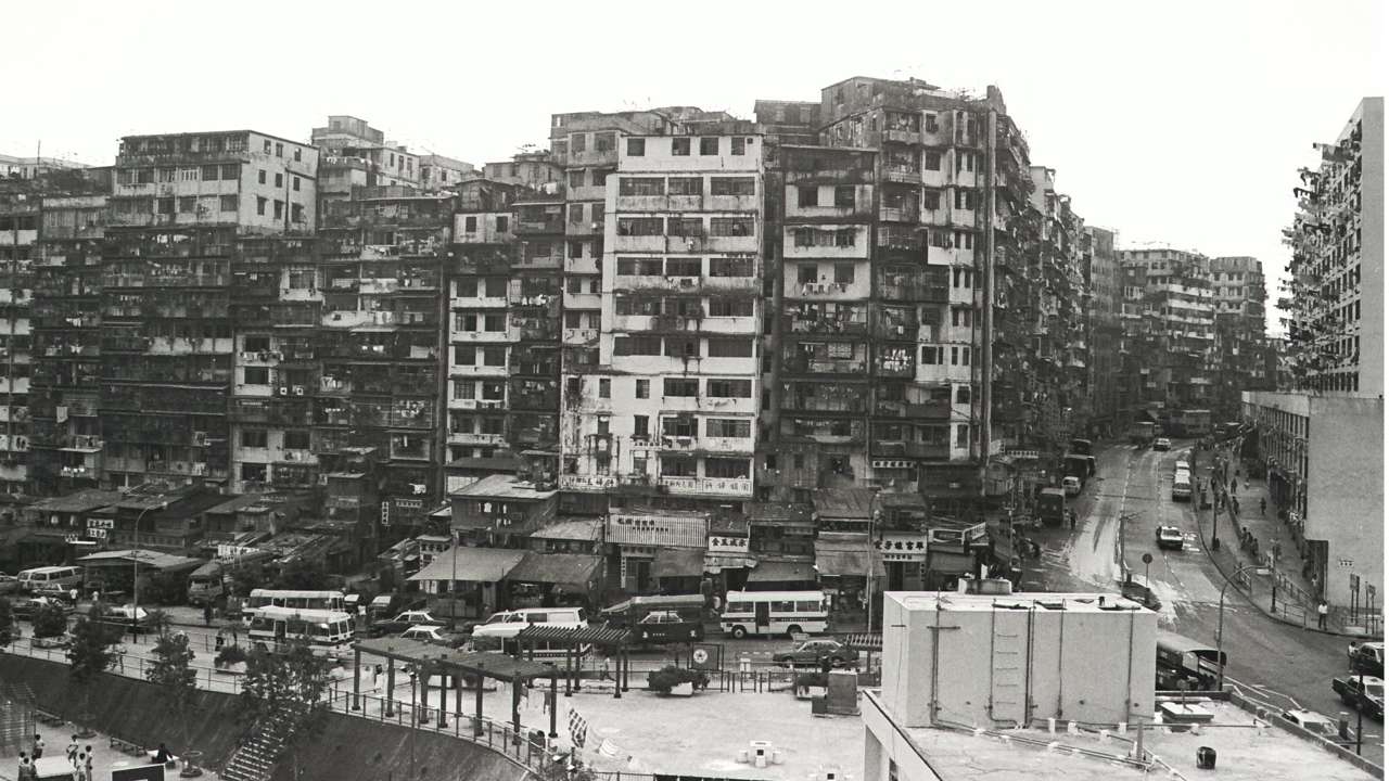 Gangue de Hong Kong, Nanitepédia
