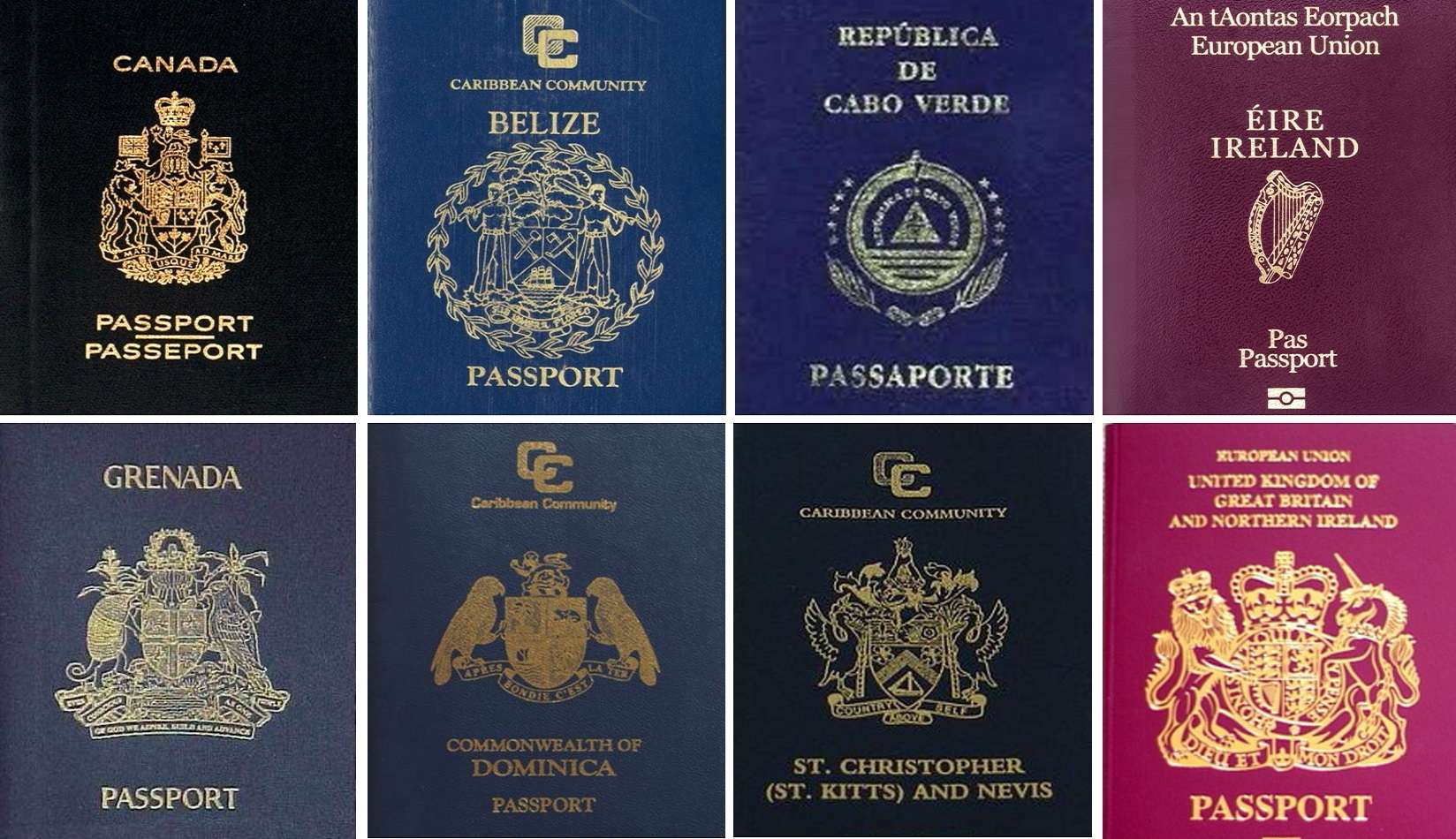 Canadian immigration lawyer David Lesperance recounts the case of a client who obtained citizenship from eight nations, whose passports are displayed here (clockwise from top left): Canada, Belize, Cape Verde, Ireland, Britain,St Kitts and Nevis, the Commonwealth of Dominica, and Grenada. Photos: Handout / SCMP Graphic
