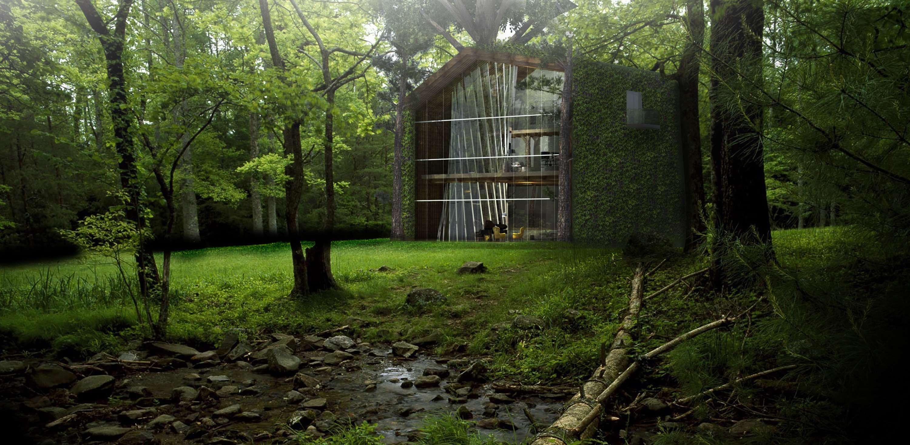 The 13-156Storey Treehouse ツリーハウス $300k San Francisco treehouse has me genuinely curious : r
