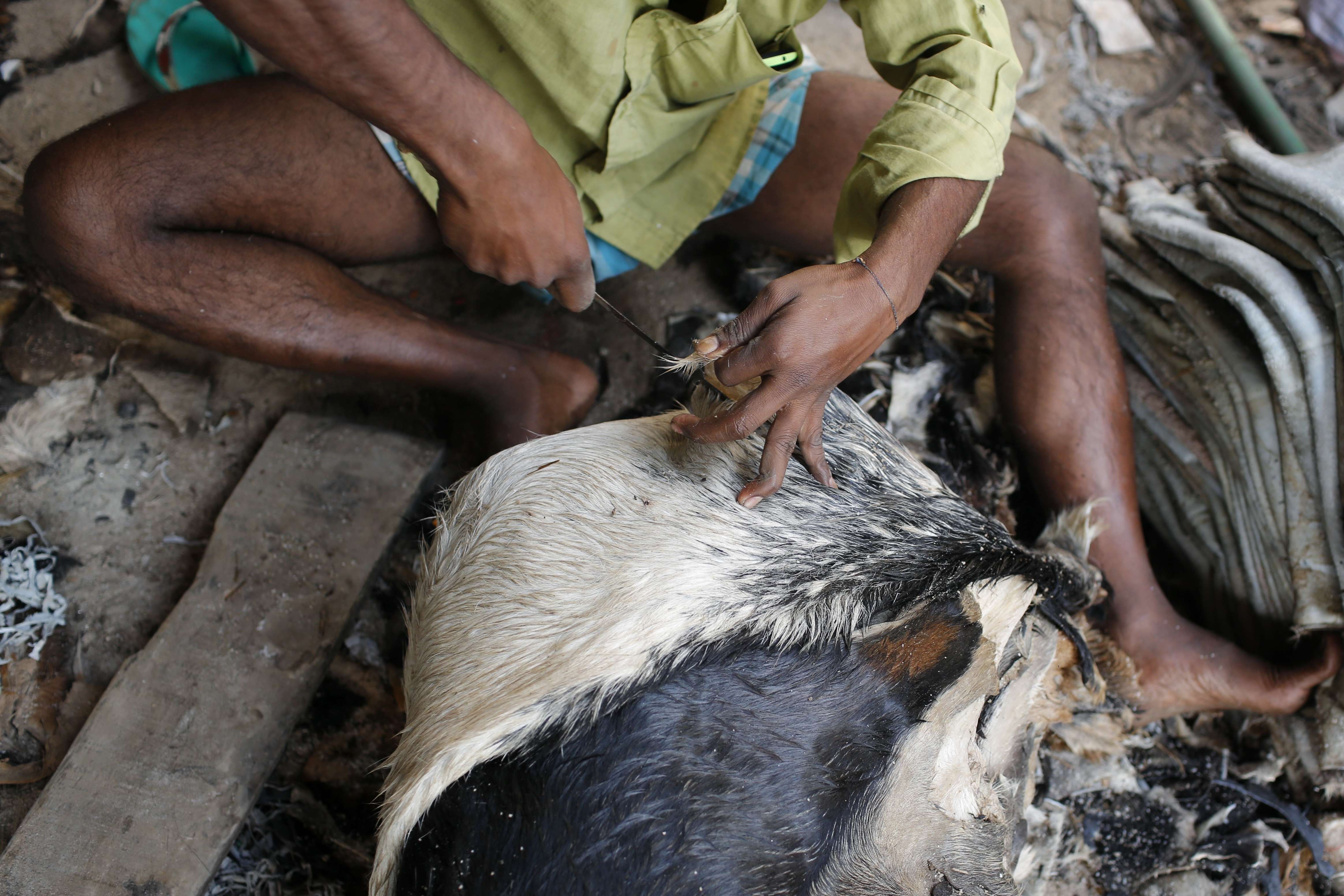 A Bangladeshi worker cuts raw animal hide inside a factory. Photo: AP