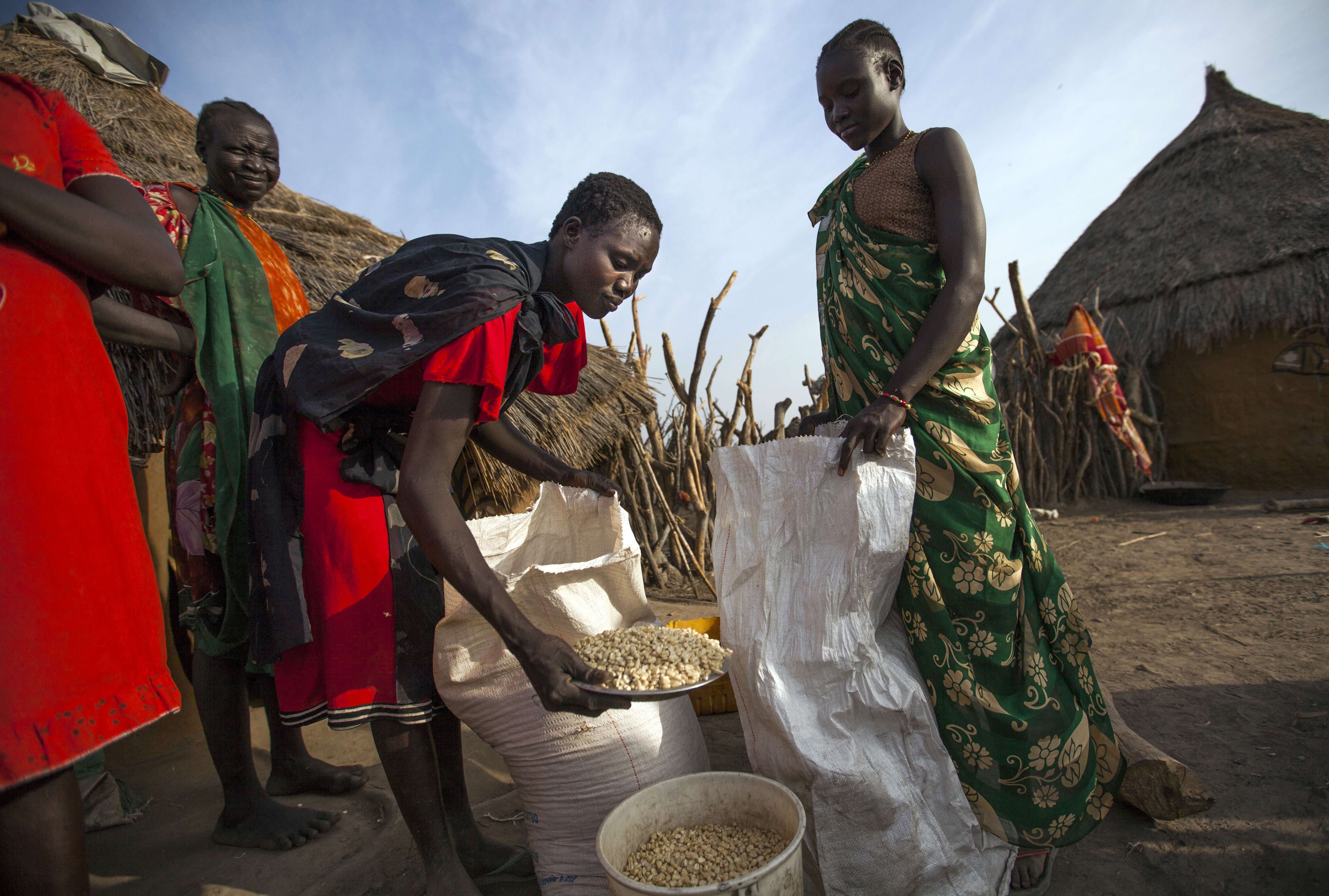 High-yielding crop varieties and mechanisation transformed global agriculture and prevented mass starvation in the 20th century. With the population expected to touch 10 billion by 2050, it may be time for another rethink