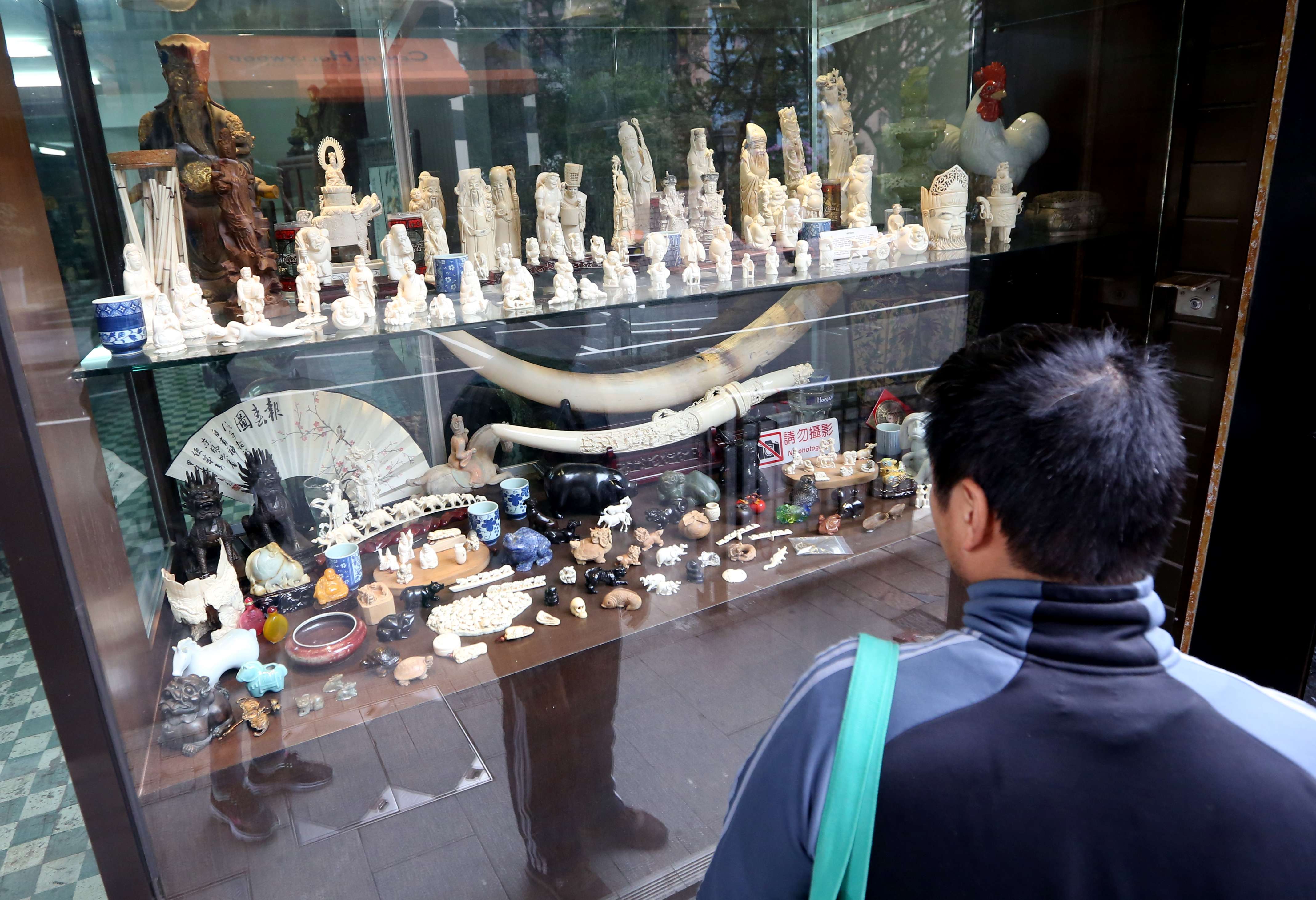 A shop display of ivory products on Hollywood Road in Sheung Wan, in January last year. The Hong Kong government plans to table a bill in June to ban the ivory trade and will provide a five-year phasing-out period for the market. Photo: Nora Tam
