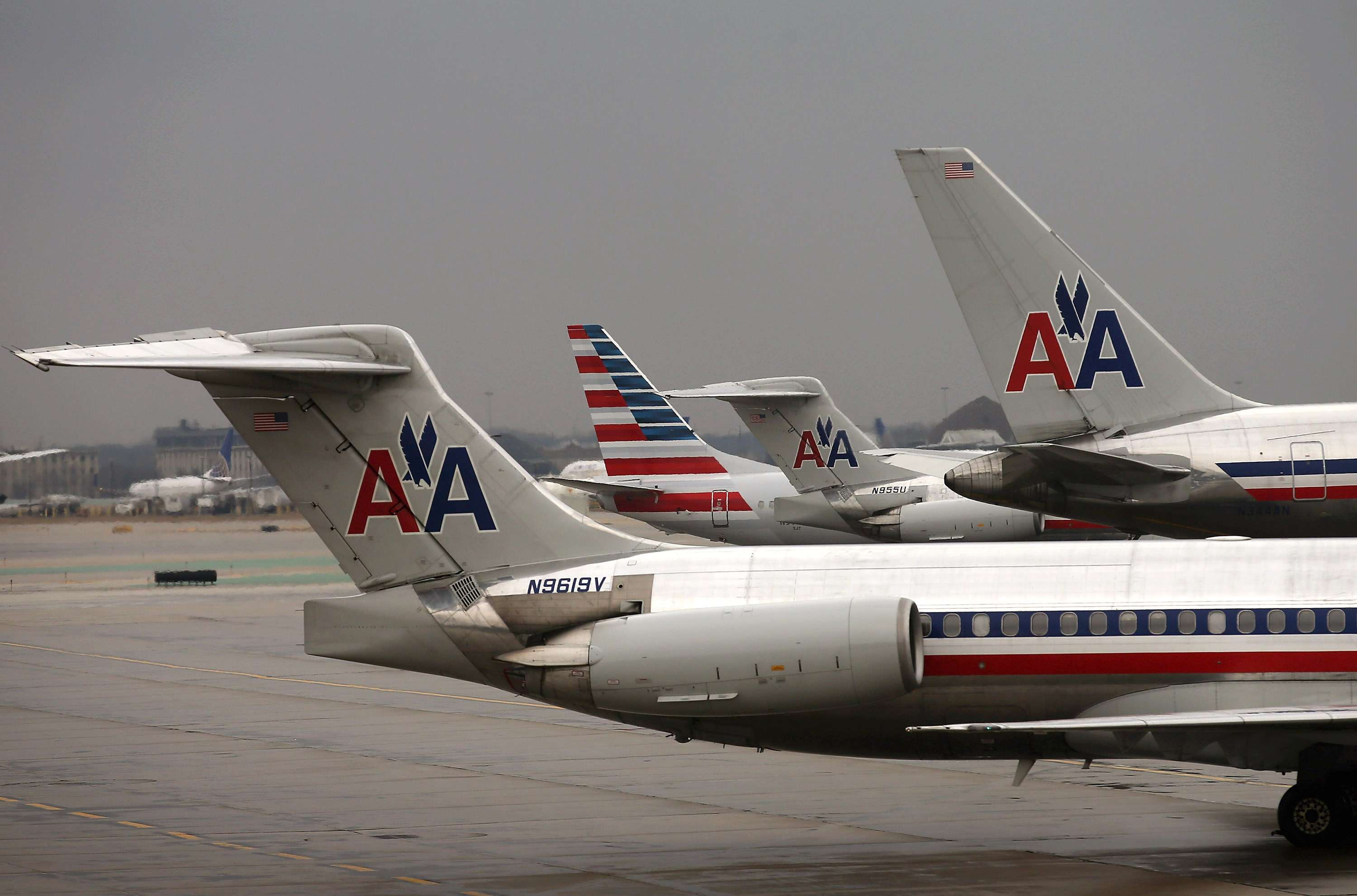 Florida woman says airline told her to flush pet hamster down the toilet -  National