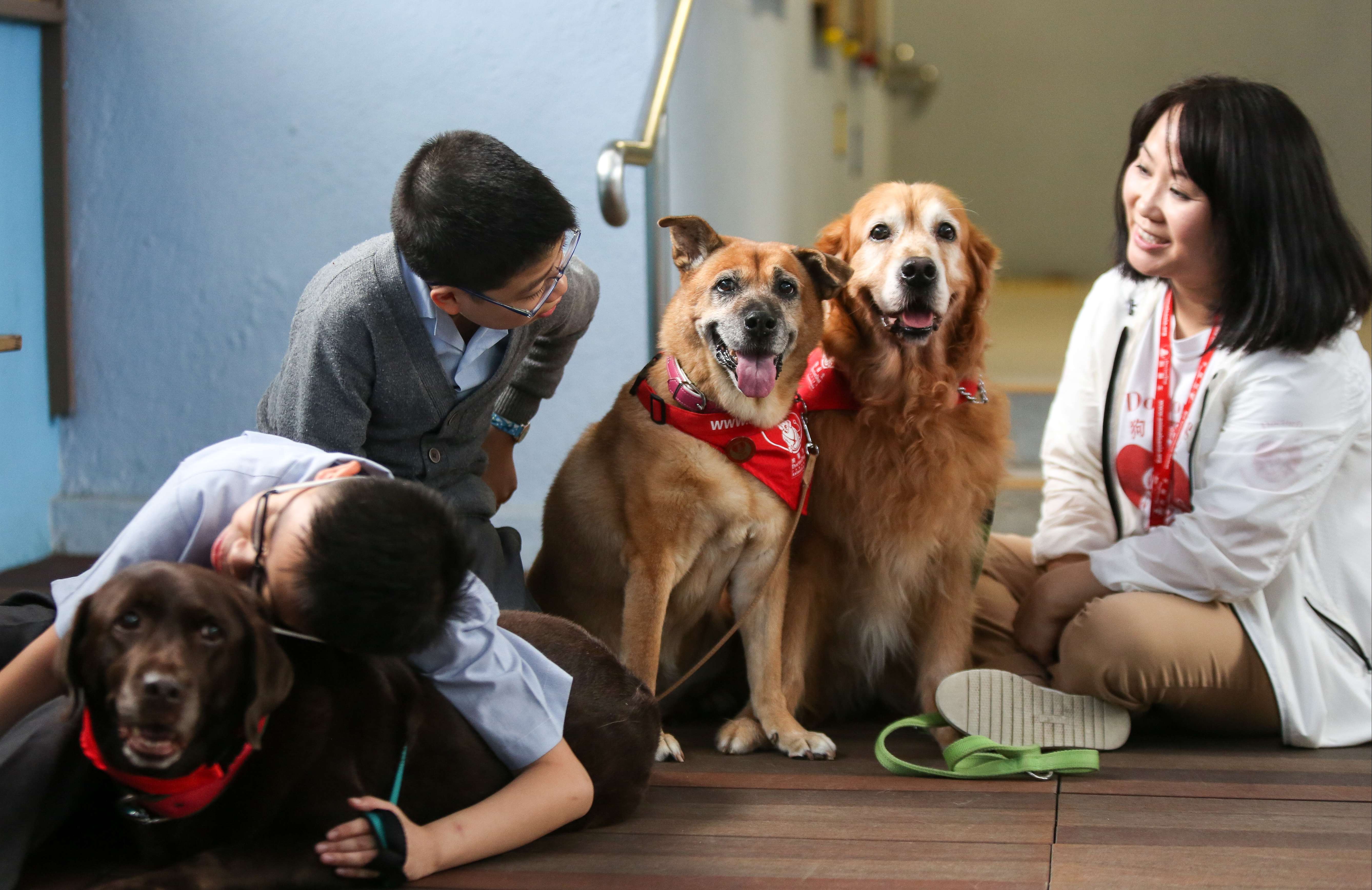 A volunteer (right) spends time with two students as part of Animals Asia Foundation’s dog therapy programme. The Dr Dog programme arranges for volunteers to take their dogs to hospitals, homes for the elderly and schools for visits. Photo: Xiaomei Chen