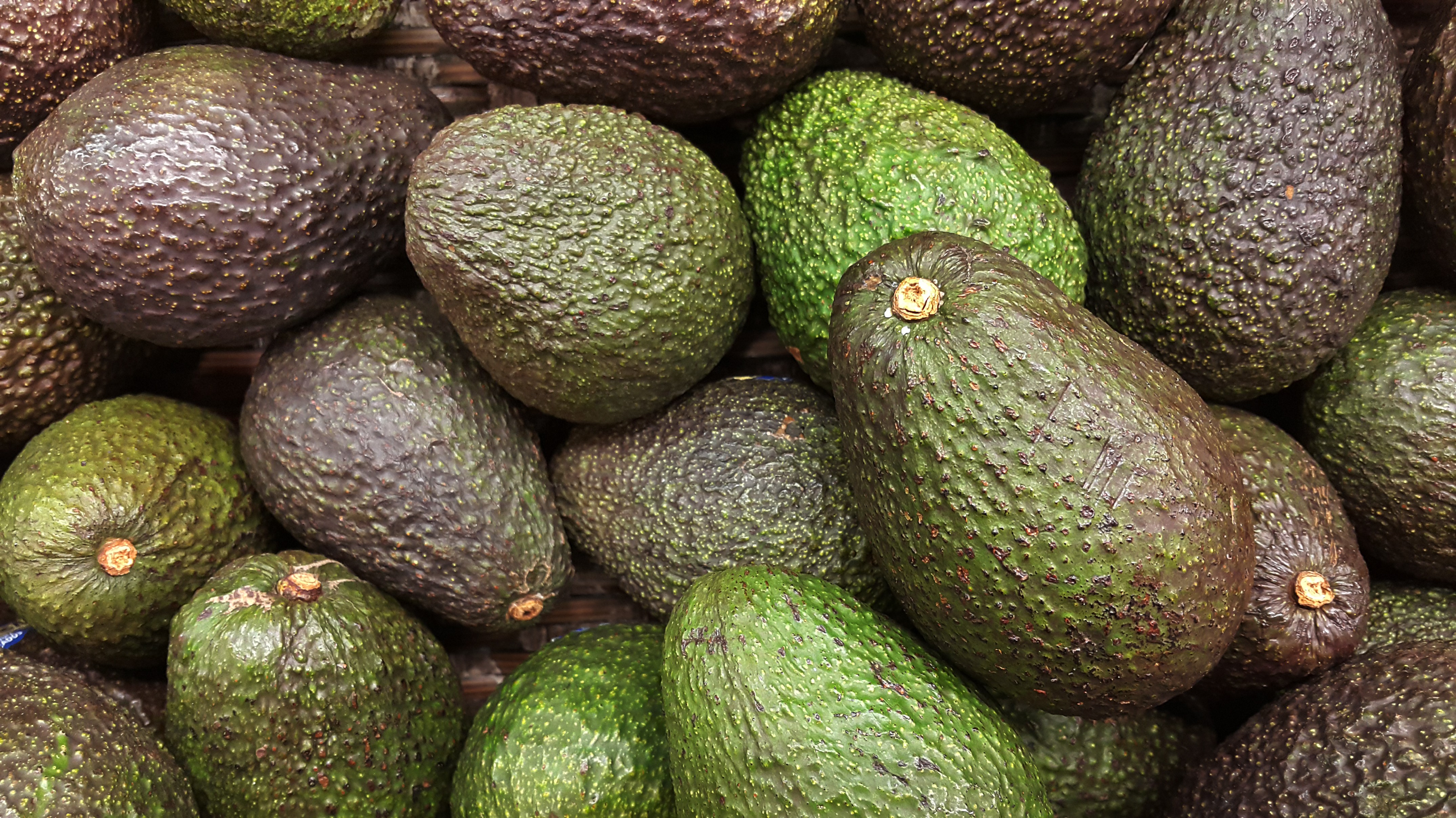 What rotten luck! This writer finds that gambling on avocados is like throwing good money in the bin