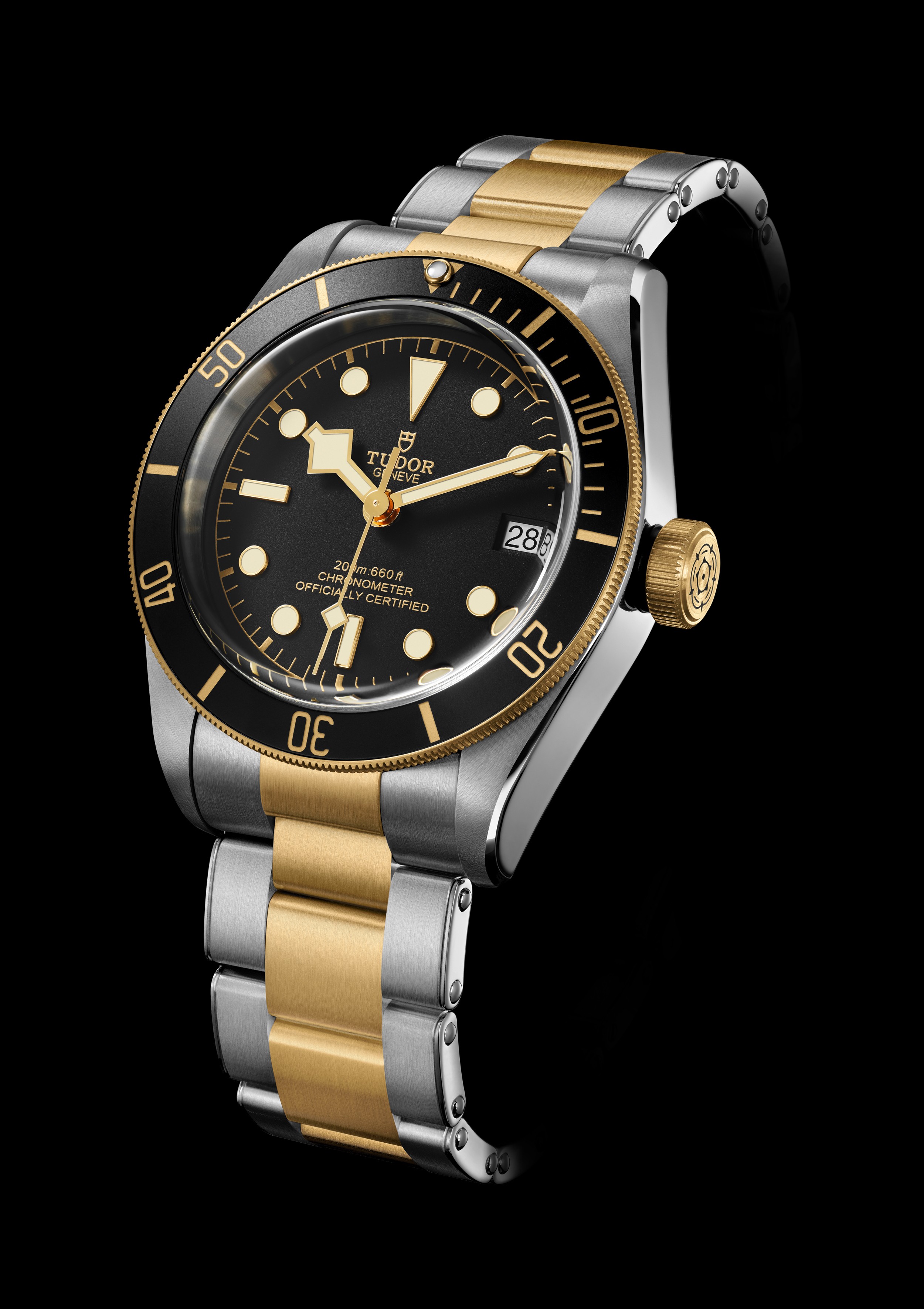 Heritage Black Bay dive watch in yellow gold and steel
