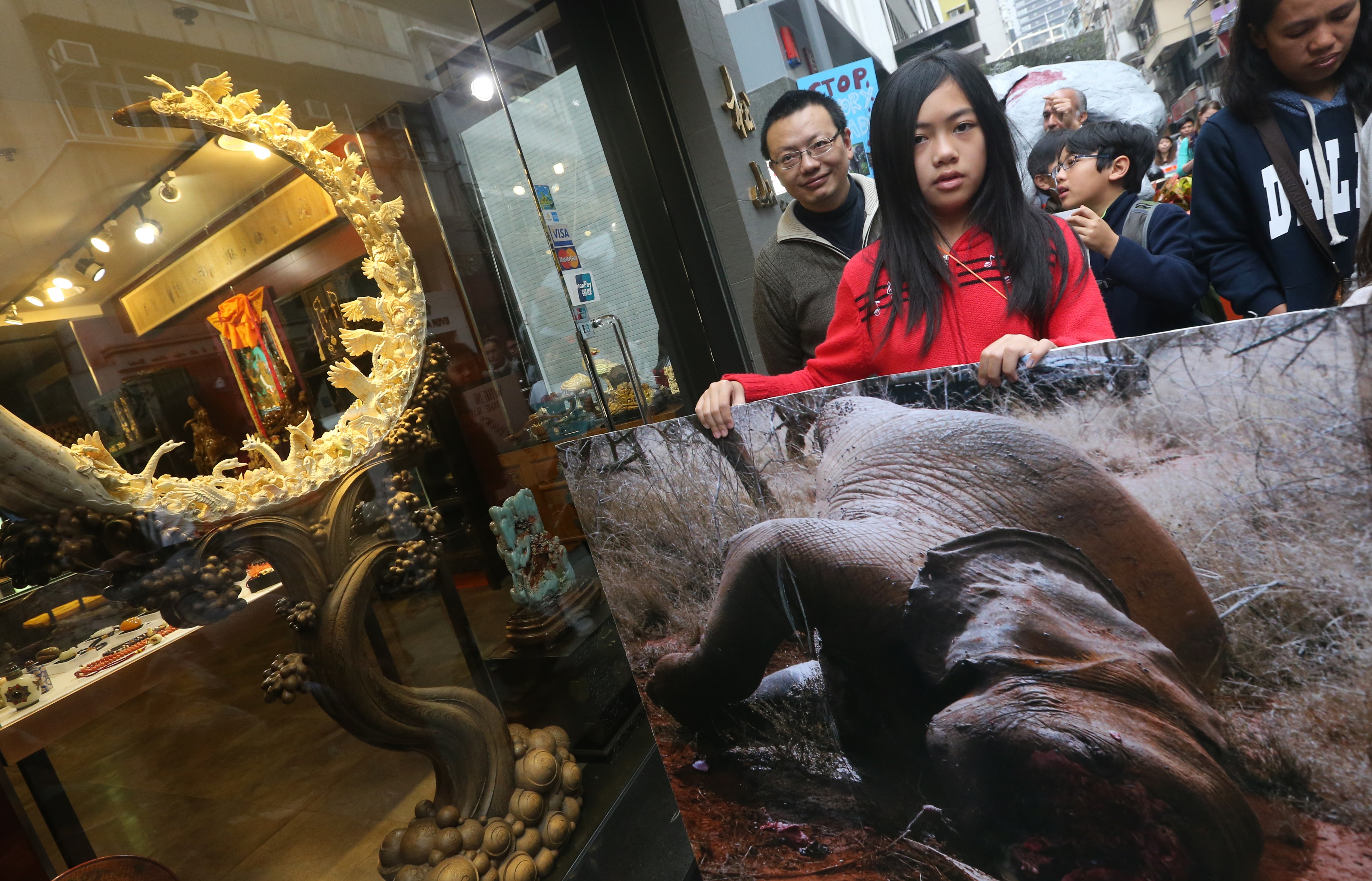 A girl holds a poster of an elephant killed for its tusks during a protest rally calling for an end to the ivory trade, in Sheung Wan in 2015. Elephant populations have fallen by almost one third in the past decade. Photo: David Wong