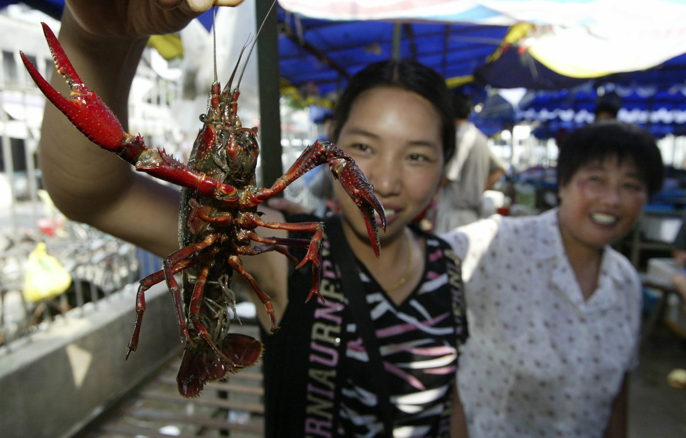 Chinese foodies’ love for crayfish – better known as small lobsters in China – has created a lucrative business for farmers, wholesalers and exporters. The country is now the world’s biggest producer and exporter. Photo: SCMP