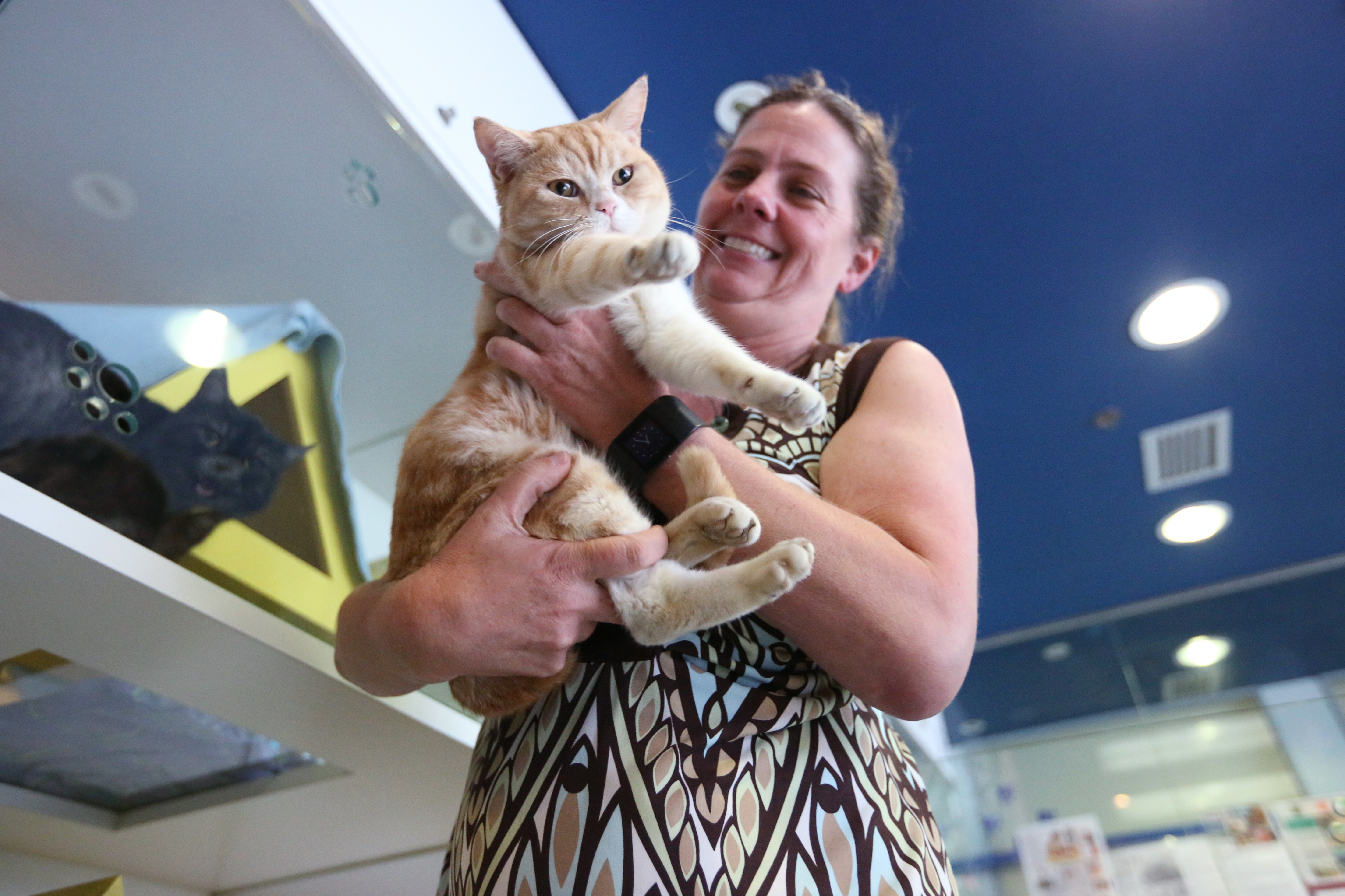 Fiona Woodhouse thinks pet-friendly workplaces would be a good idea. Photo: Nora Tam