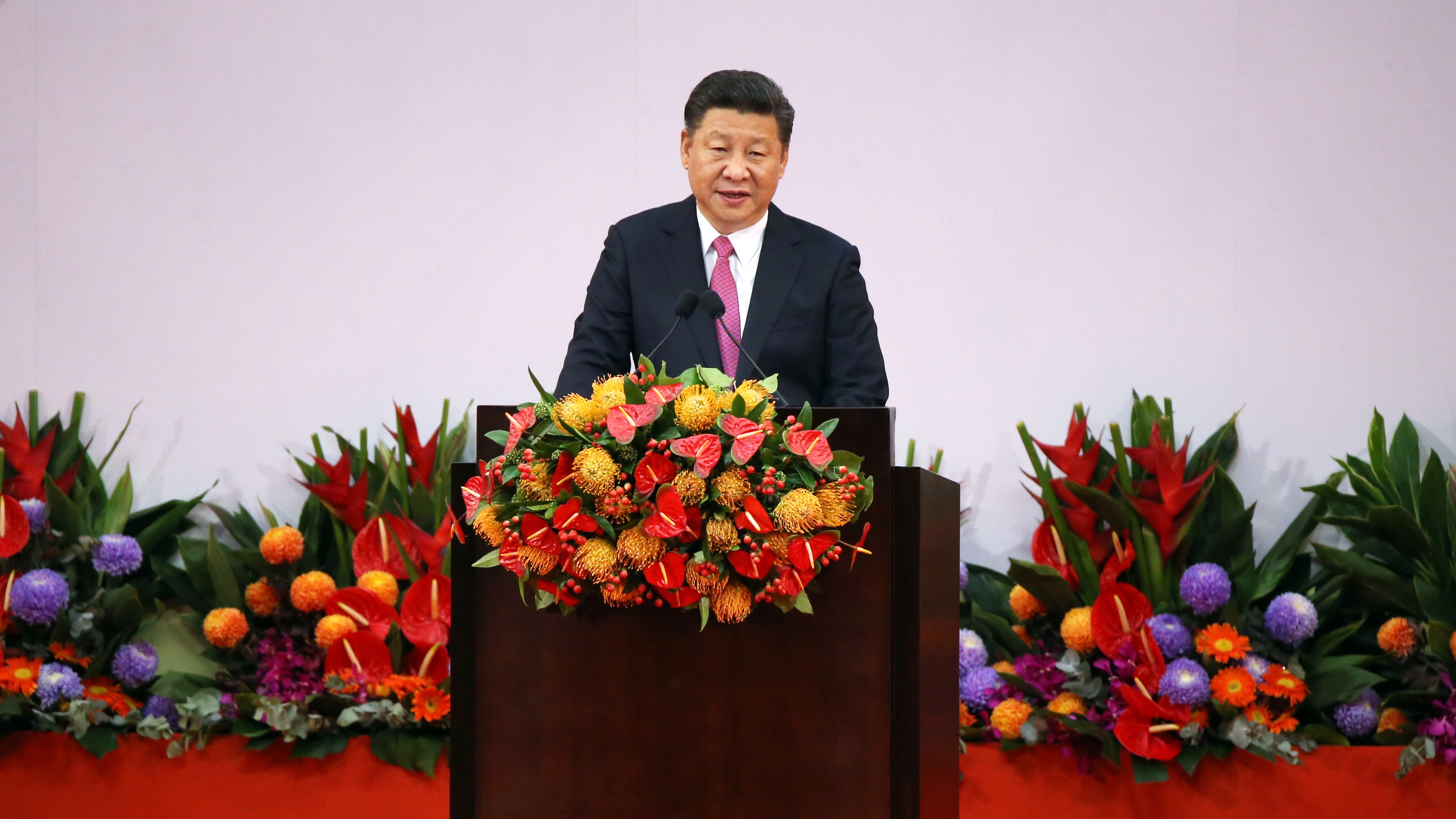 Xi Jinping addressed a crowd at the convention centre in Wan Chai. Photo: Sam Tsang